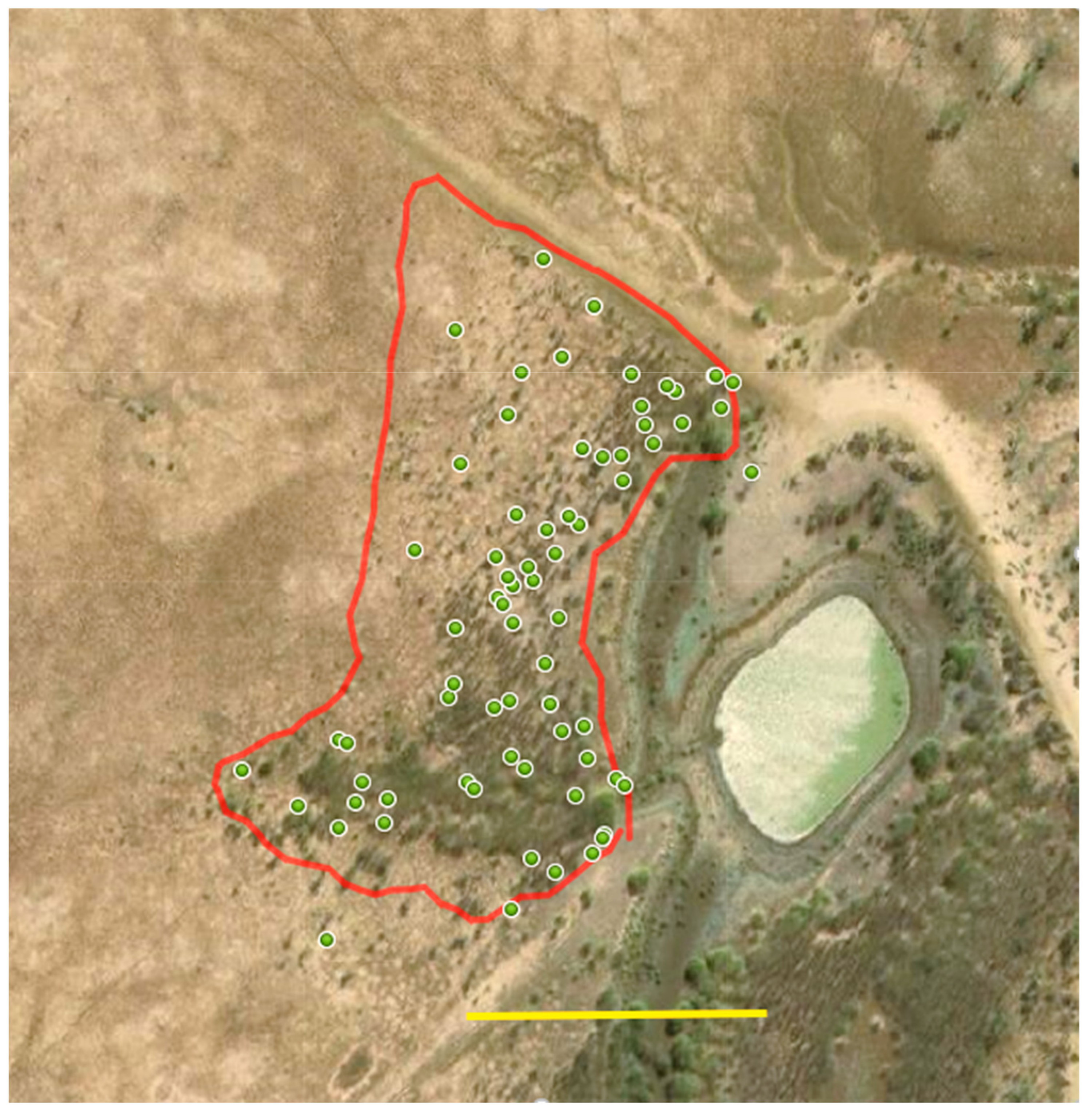 Plants 10 01909 g013 550