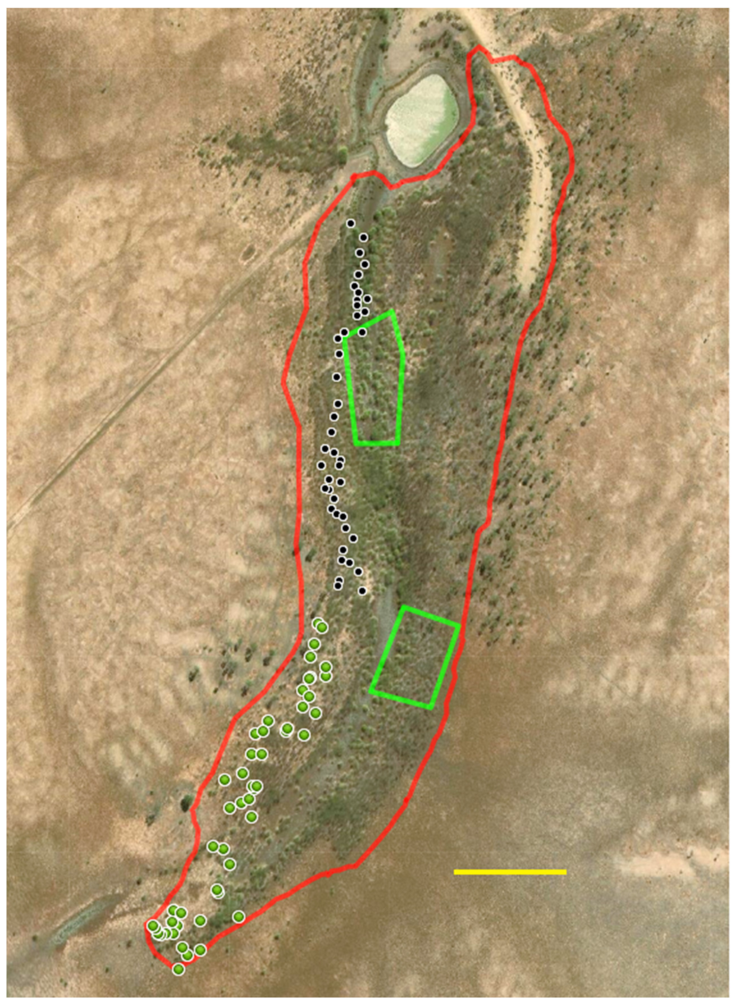 Plants 10 01909 g014 550