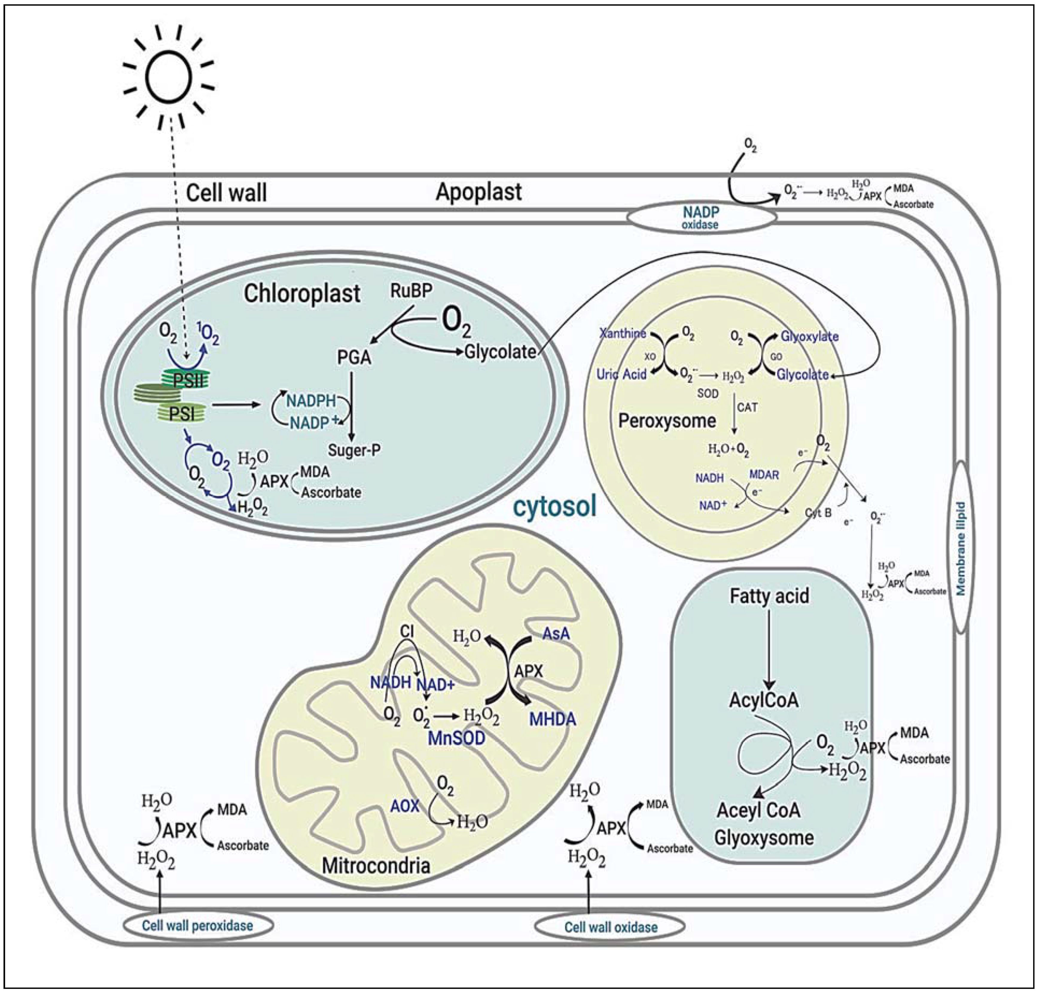 Plants 10 01910 g006
