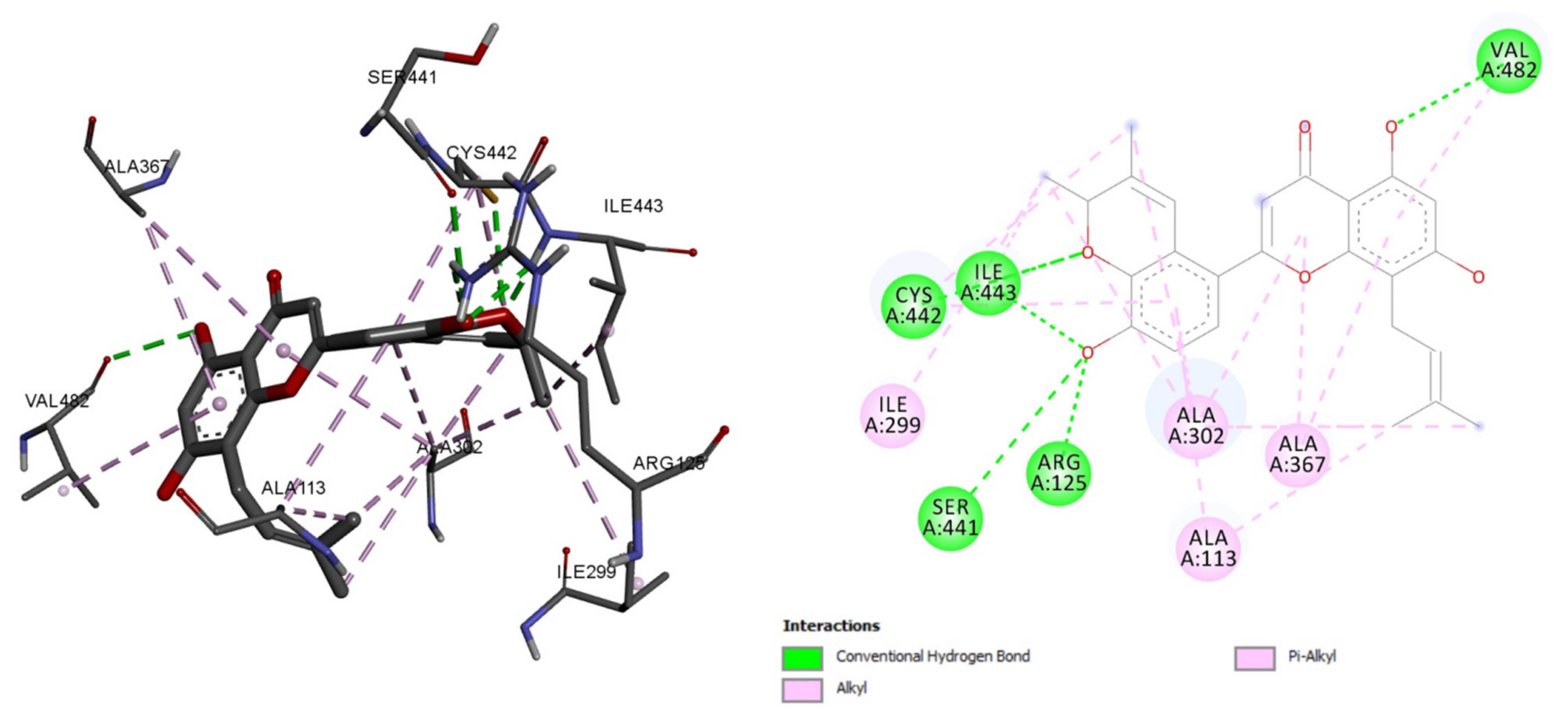Plants 10 01912 g002