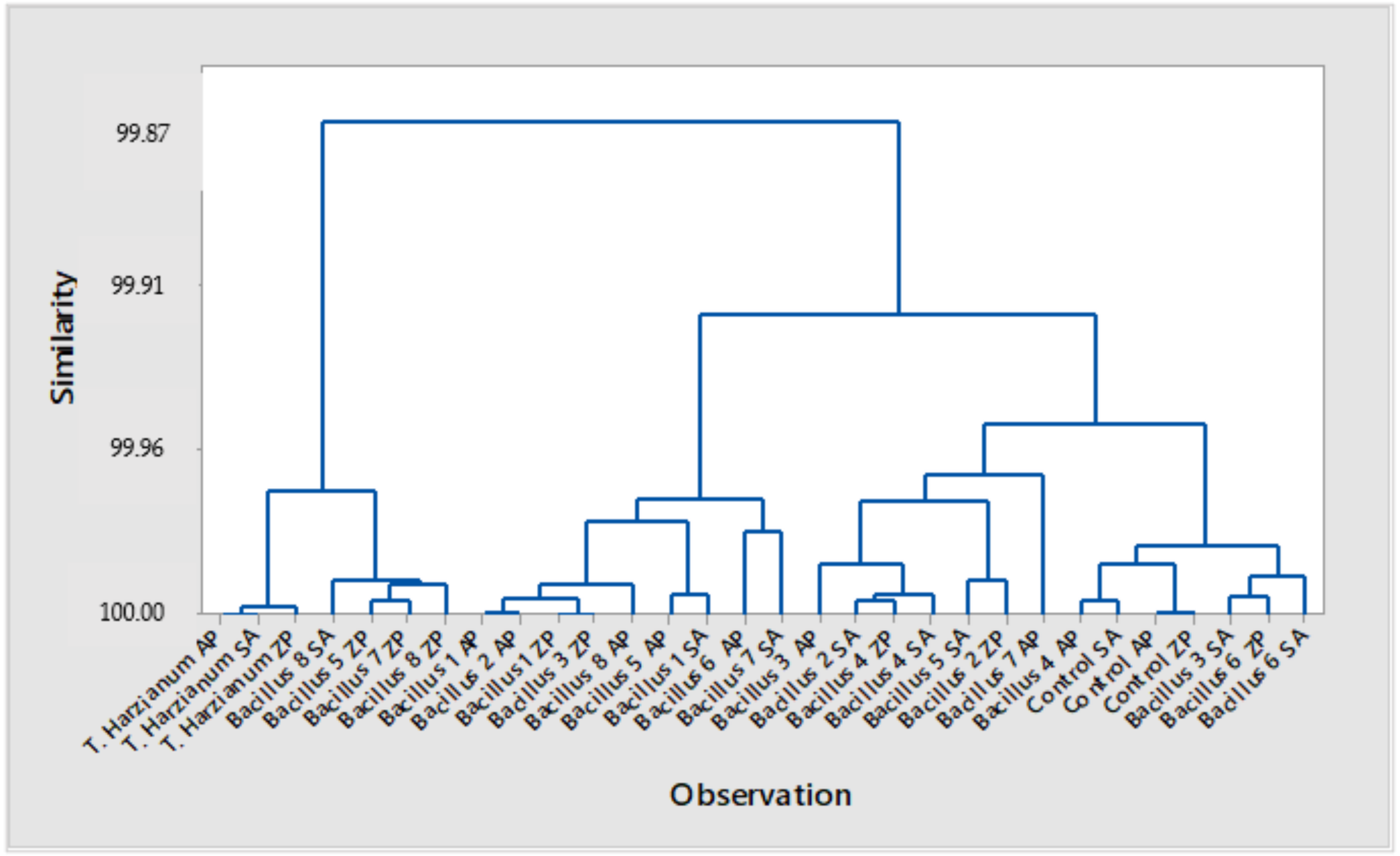 Plants 10 01913 g003