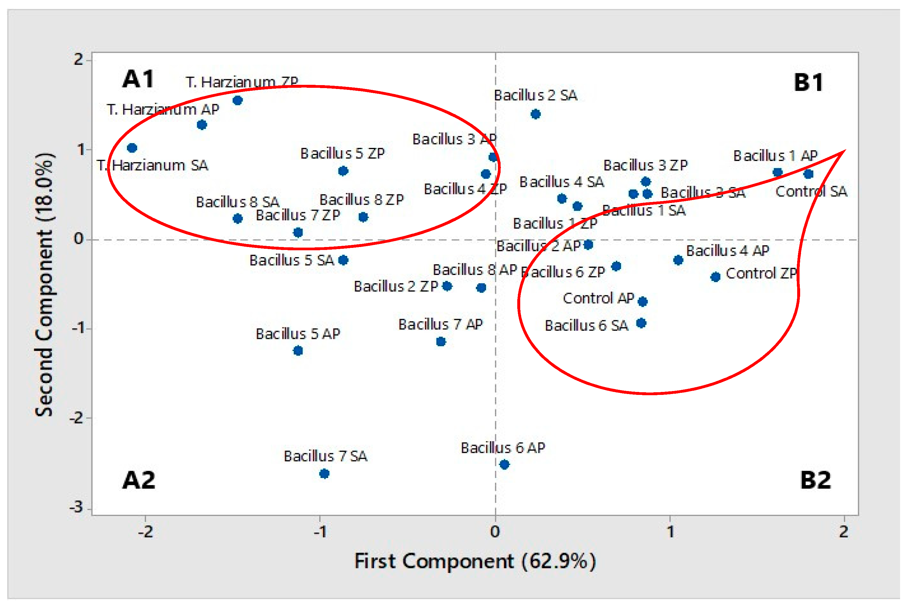 Plants 10 01913 g004