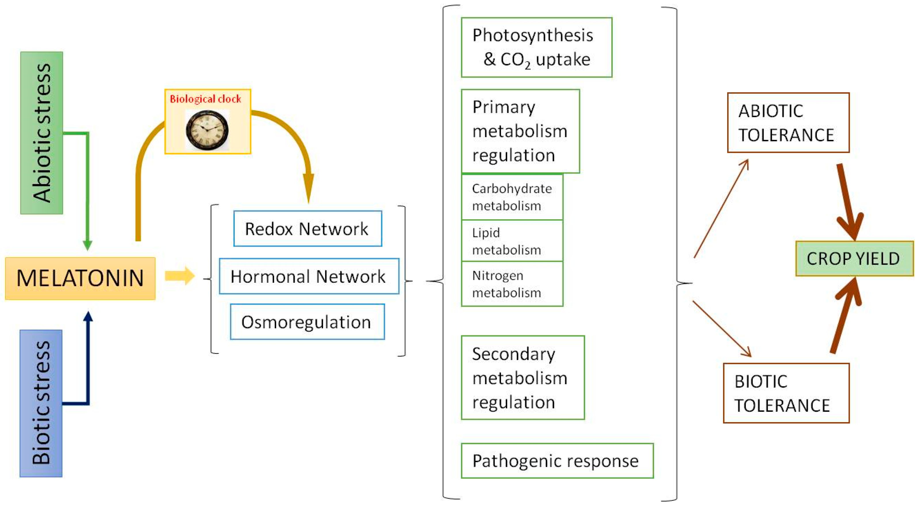 Plants 10 01917 g002 550