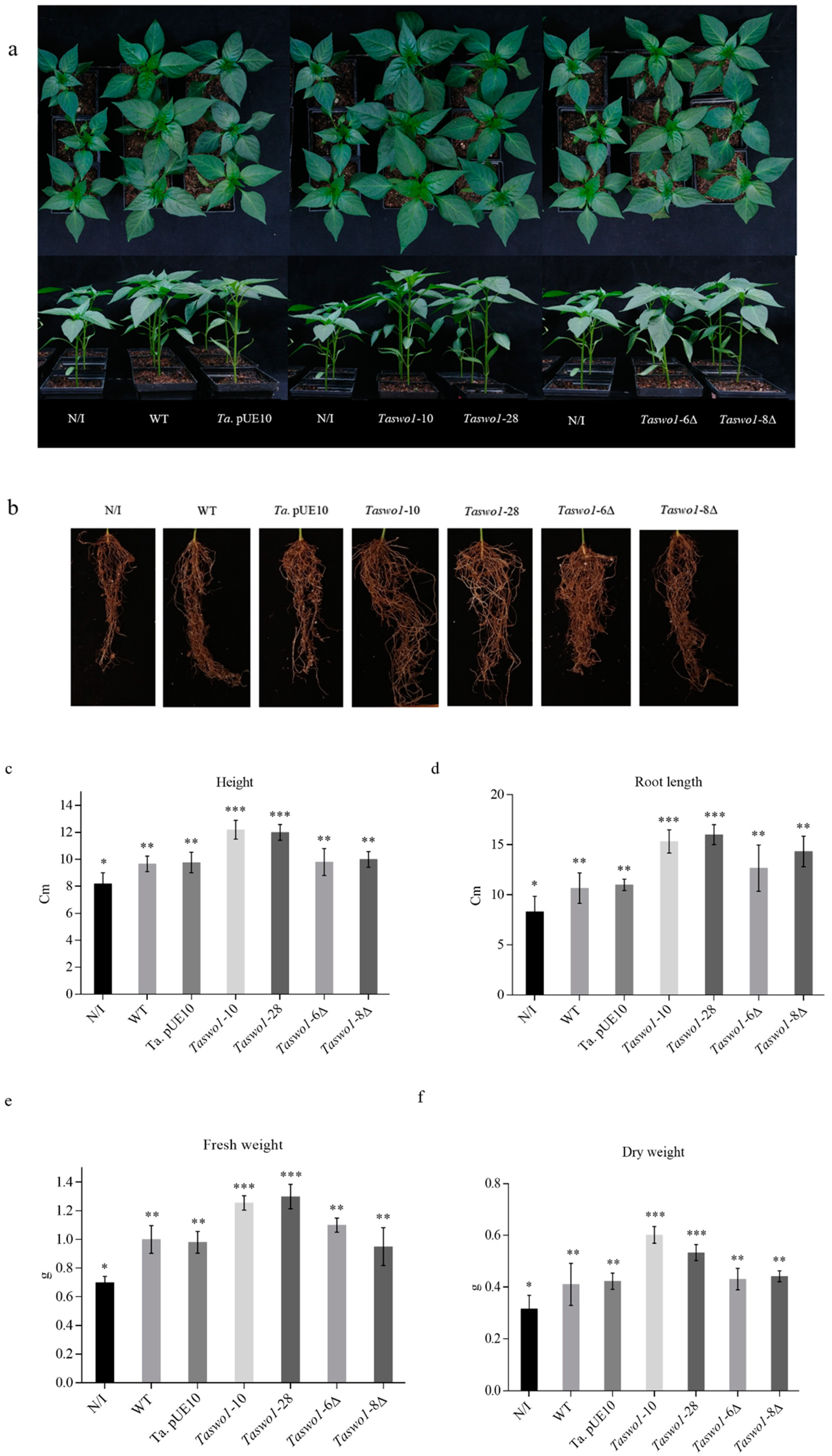 Plants 10 01919 g001 550