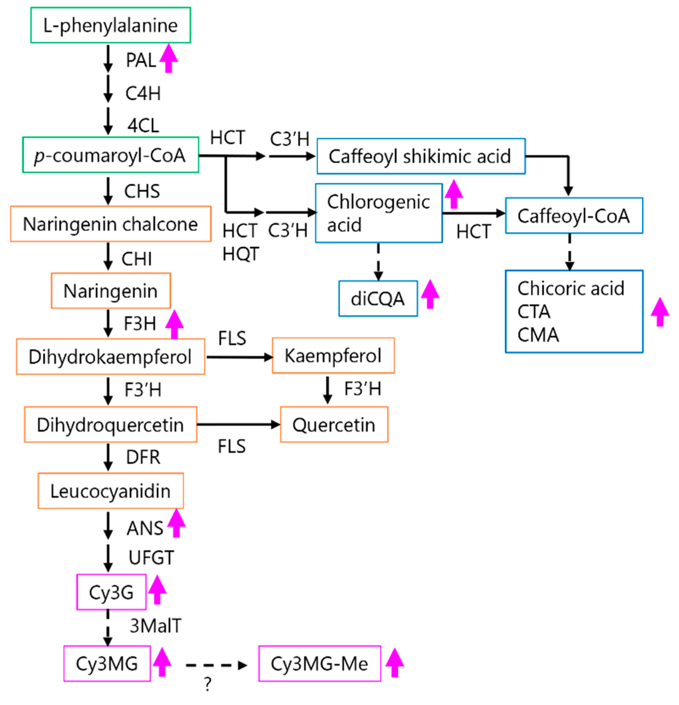 Plants 10 01920 g007