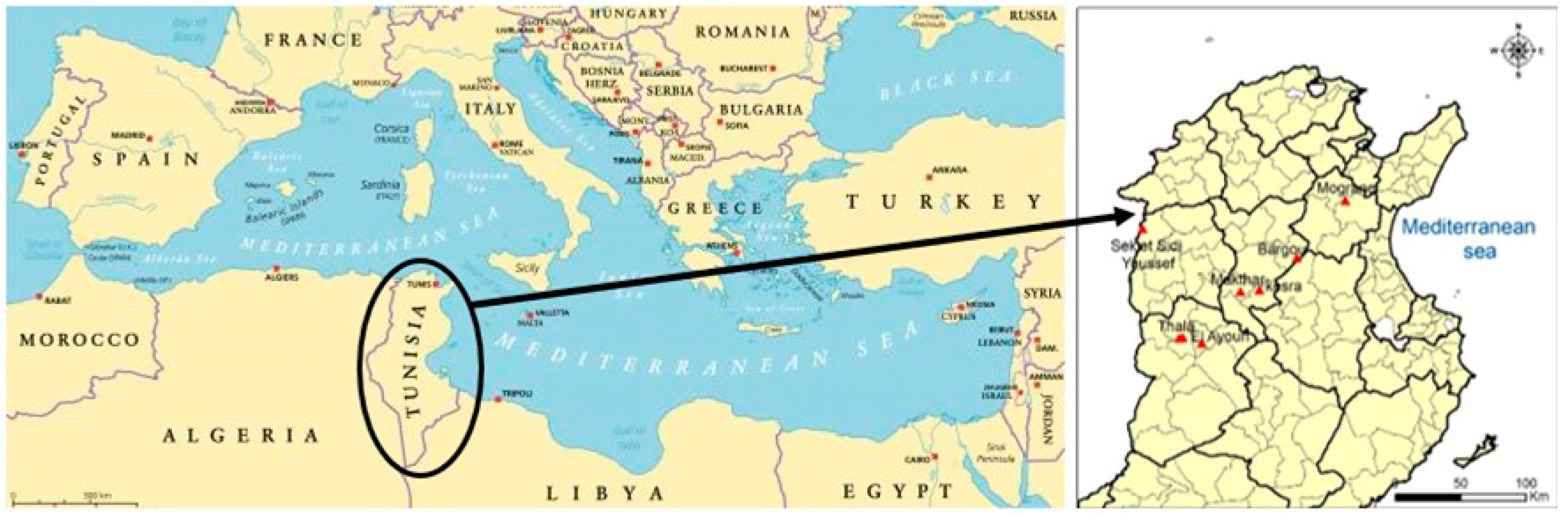 Plants 10 01923 g001