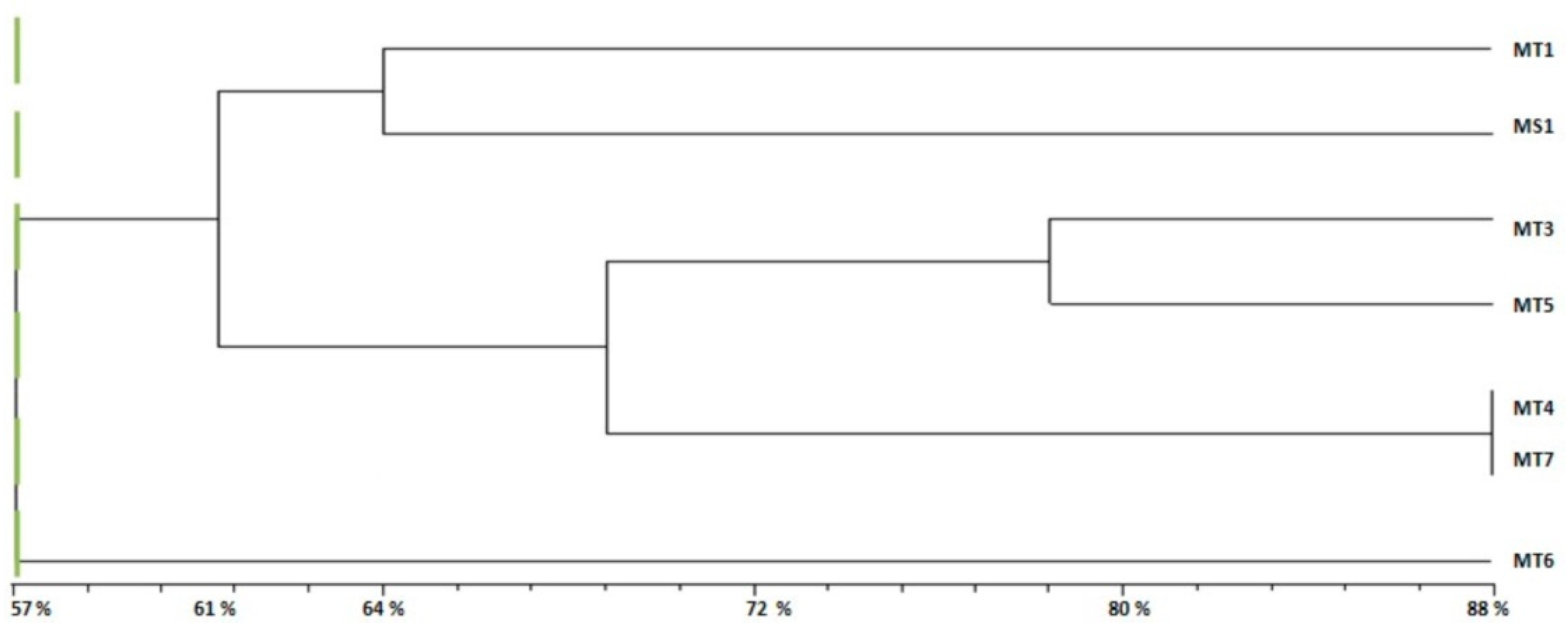 Plants 10 01923 g003