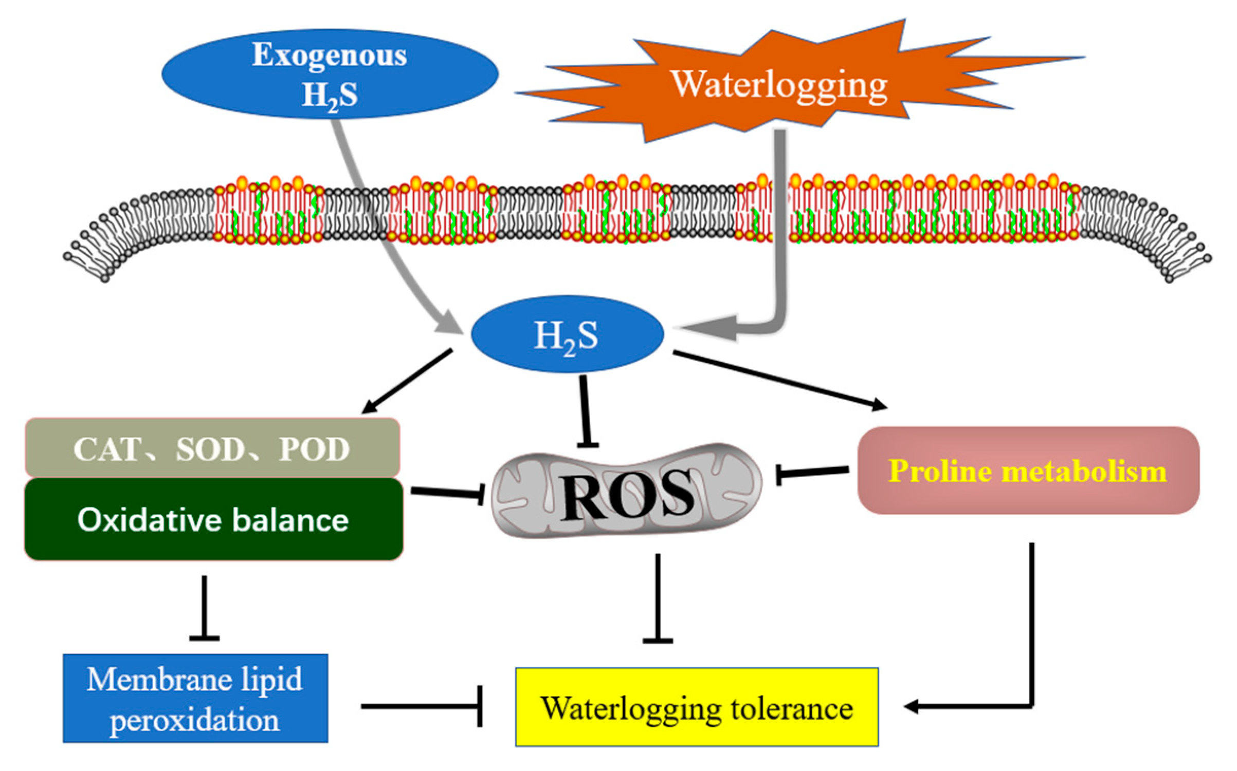 Plants 10 01928 g003