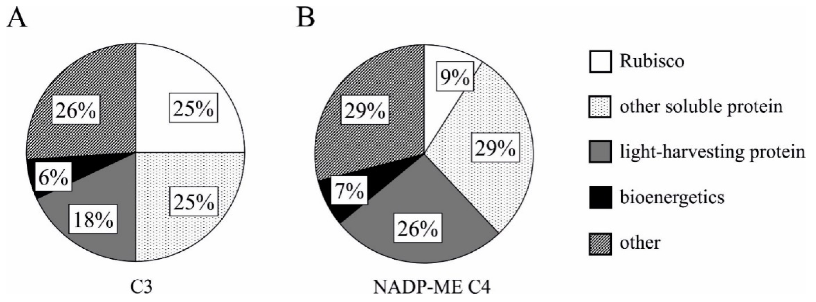 Plants Free Full Text Understanding Maize Response To Nitrogen Limitation In Different Light Conditions For The Improvement Of Photosynthesis Html