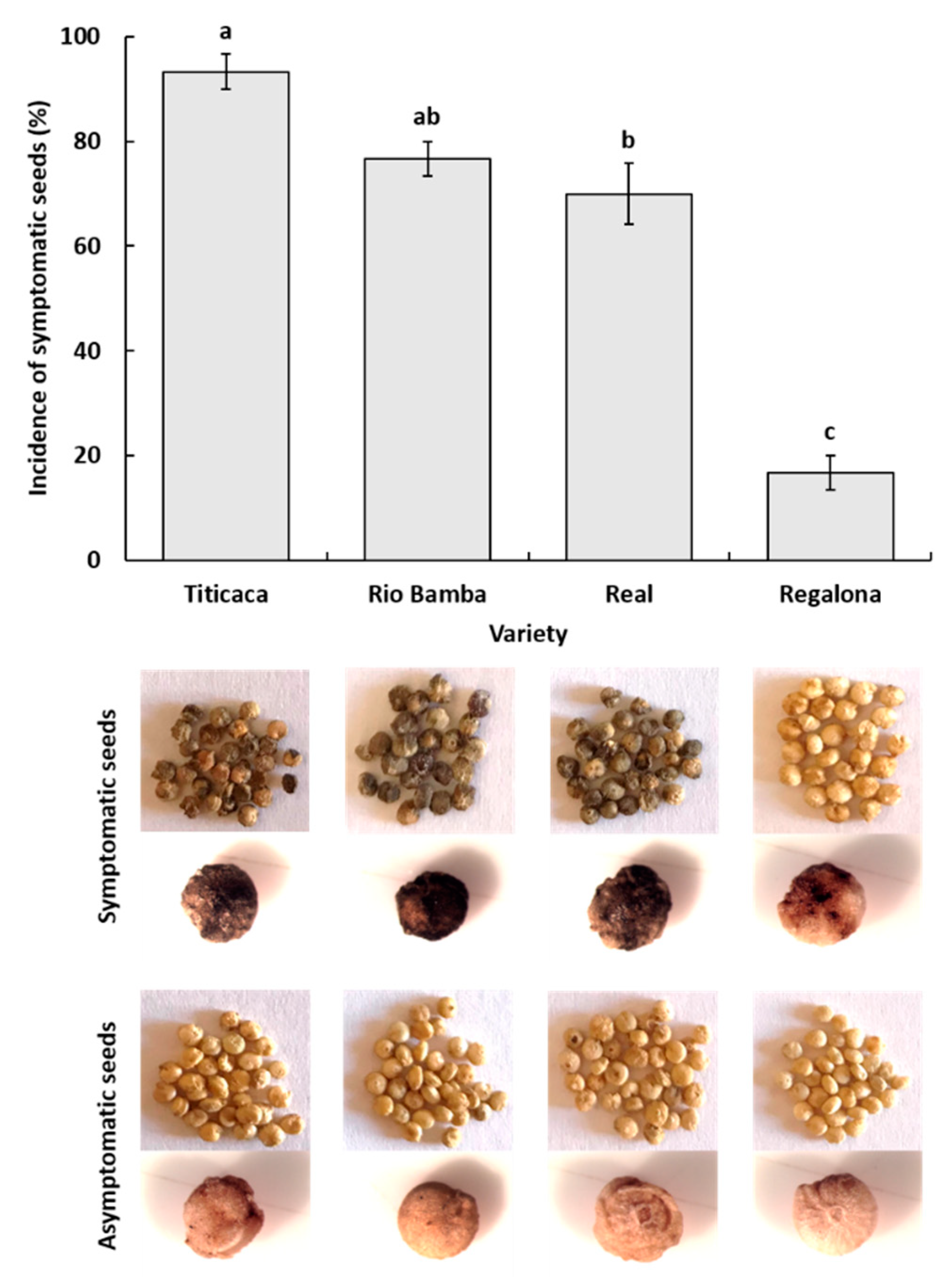 Plants 10 01933 g001 Plants 10 01933 g001