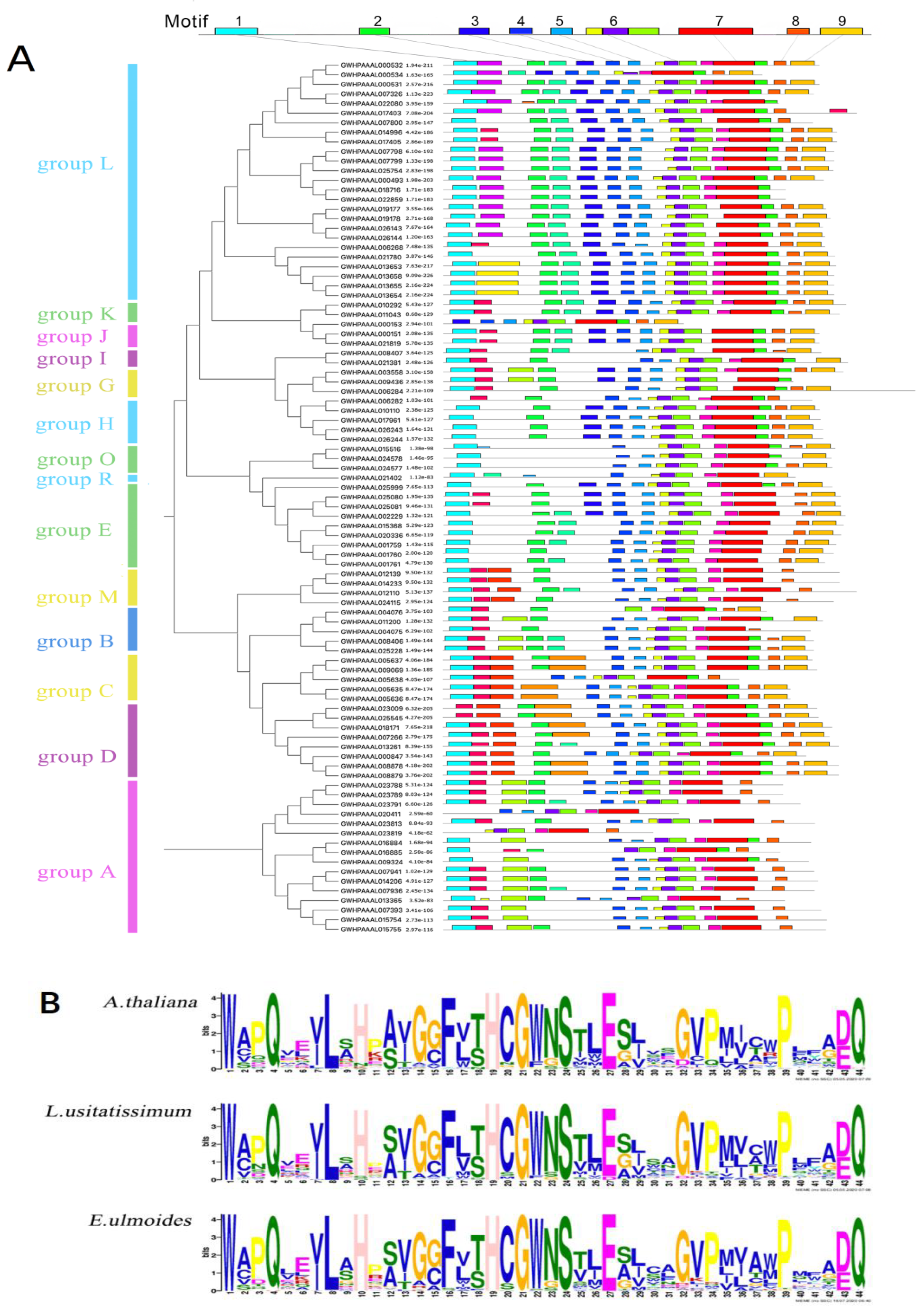 Plants 10 01934 g002