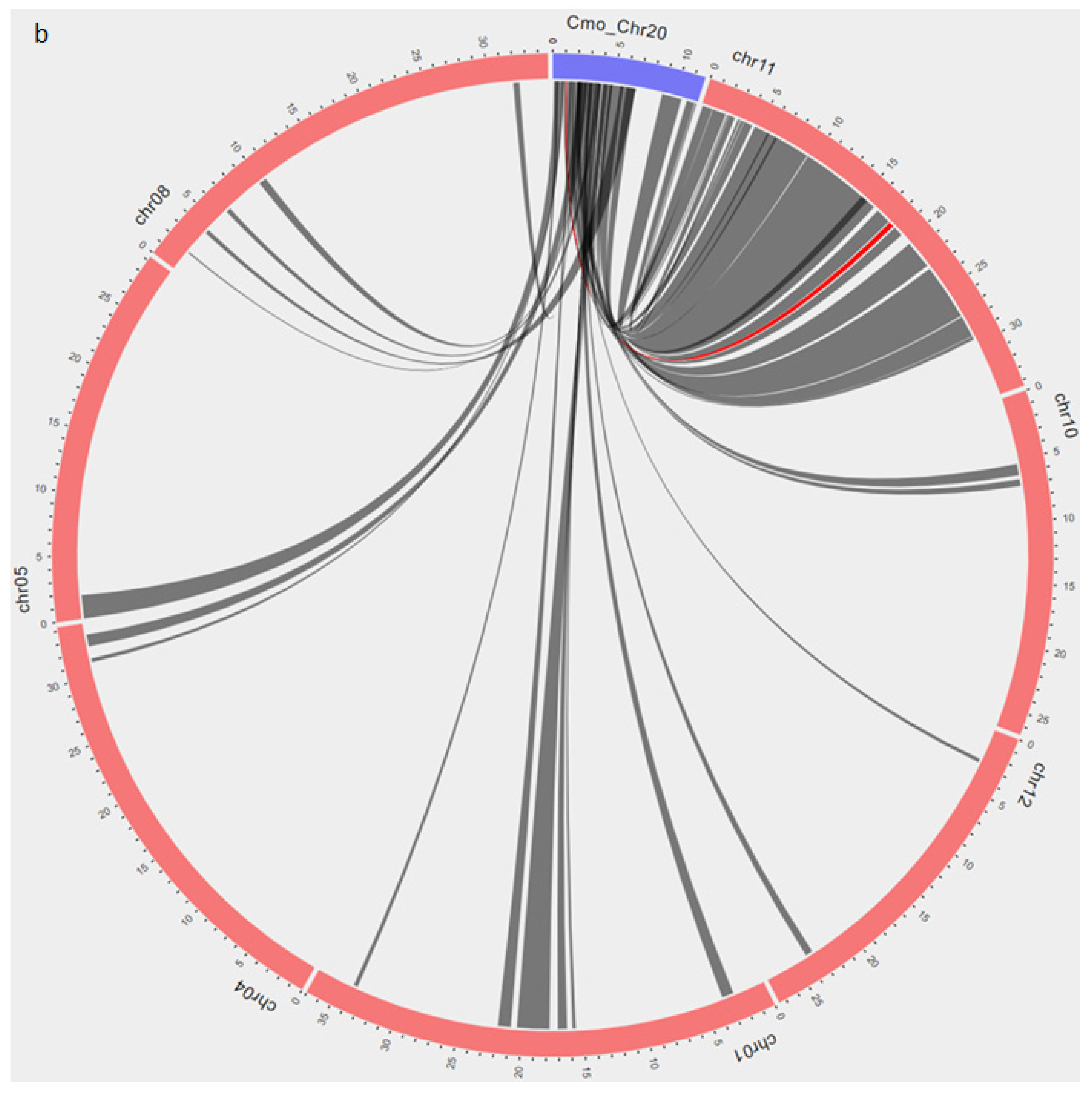 Plants 10 01935 g003b