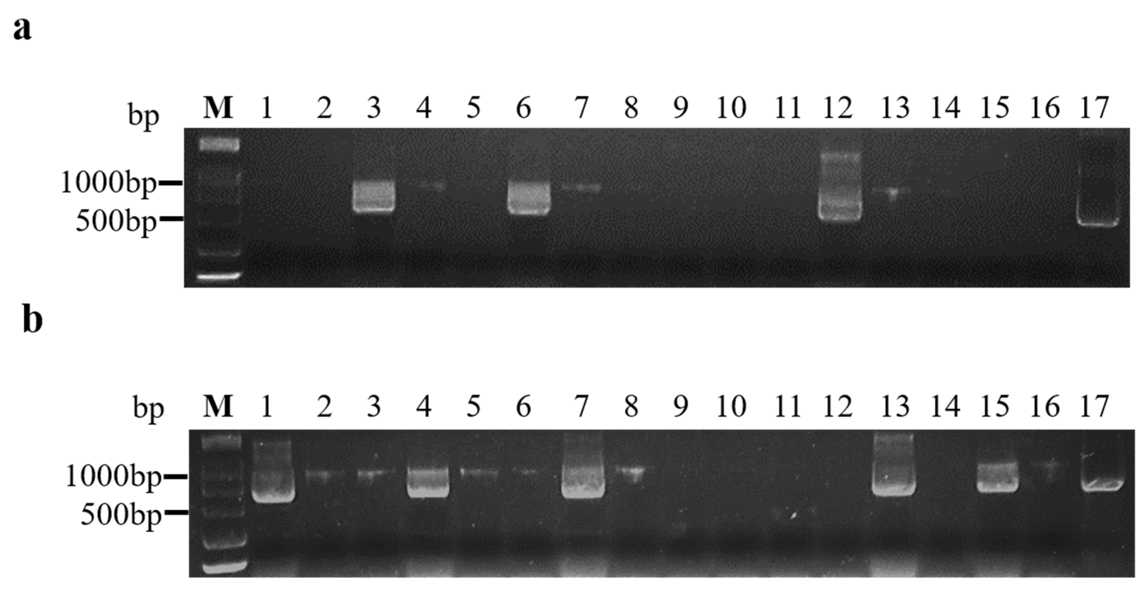 Plants 10 01944 g001 550