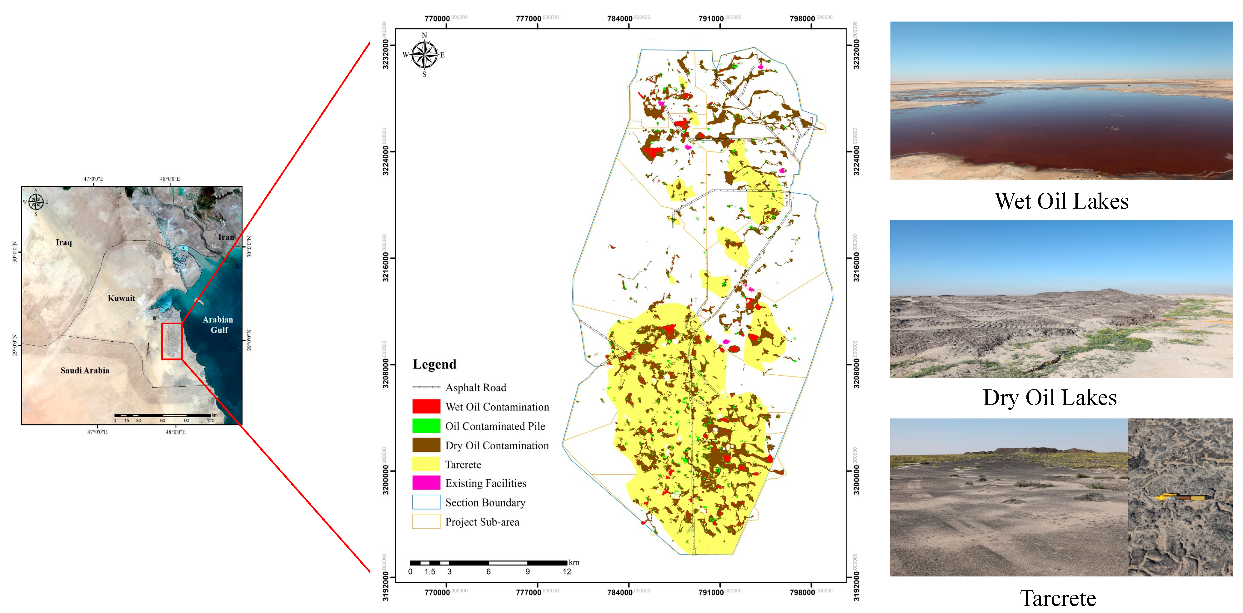 Plants 10 01945 g001 550