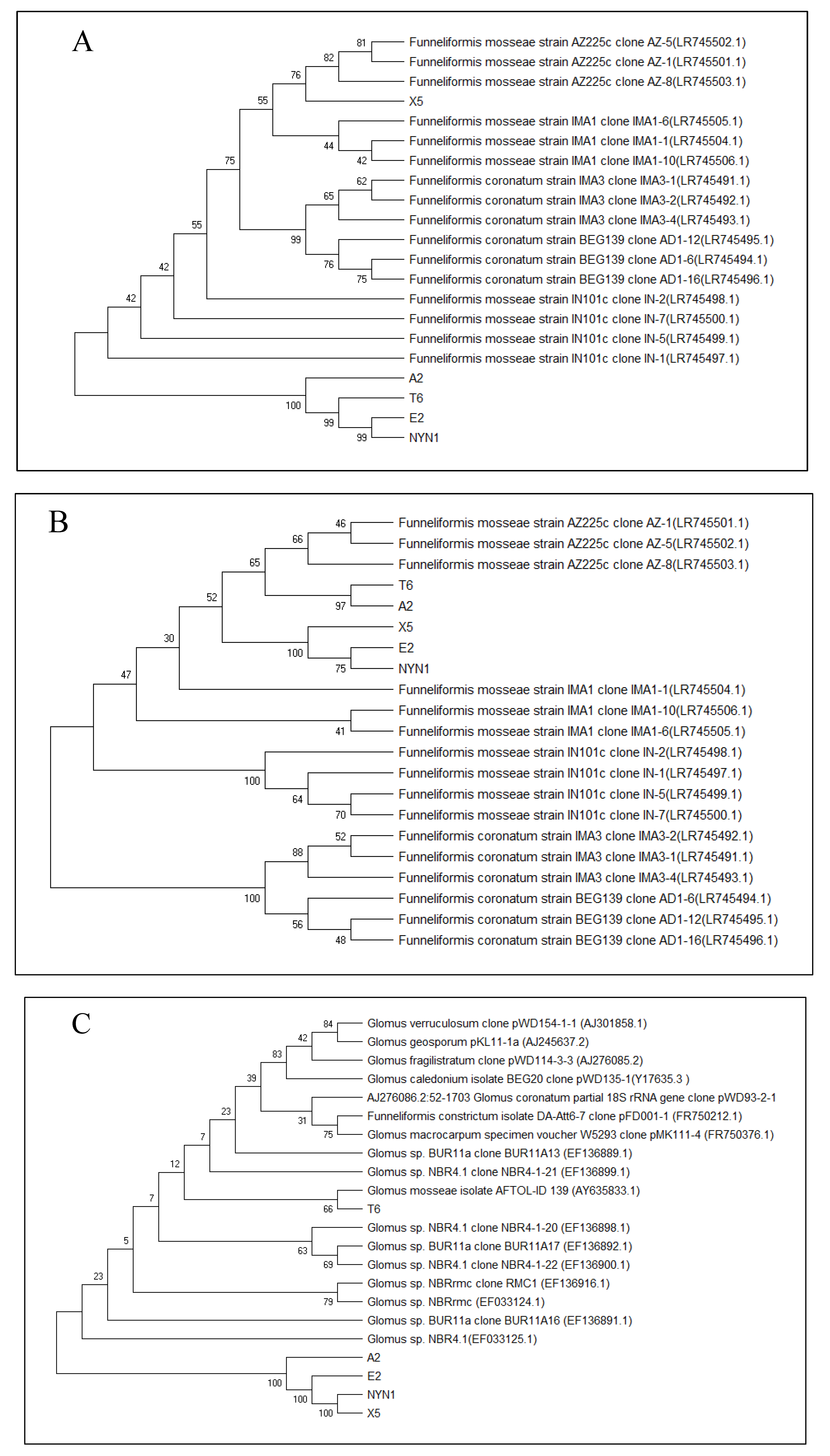 Plants 10 01948 g001