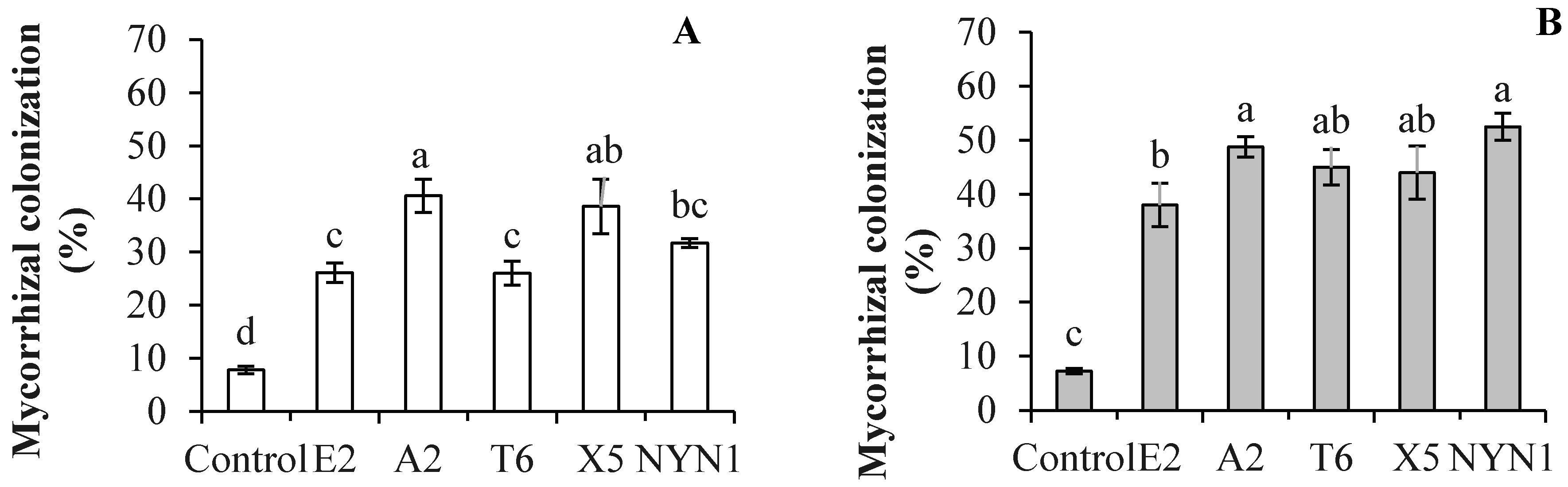 Plants 10 01948 g002