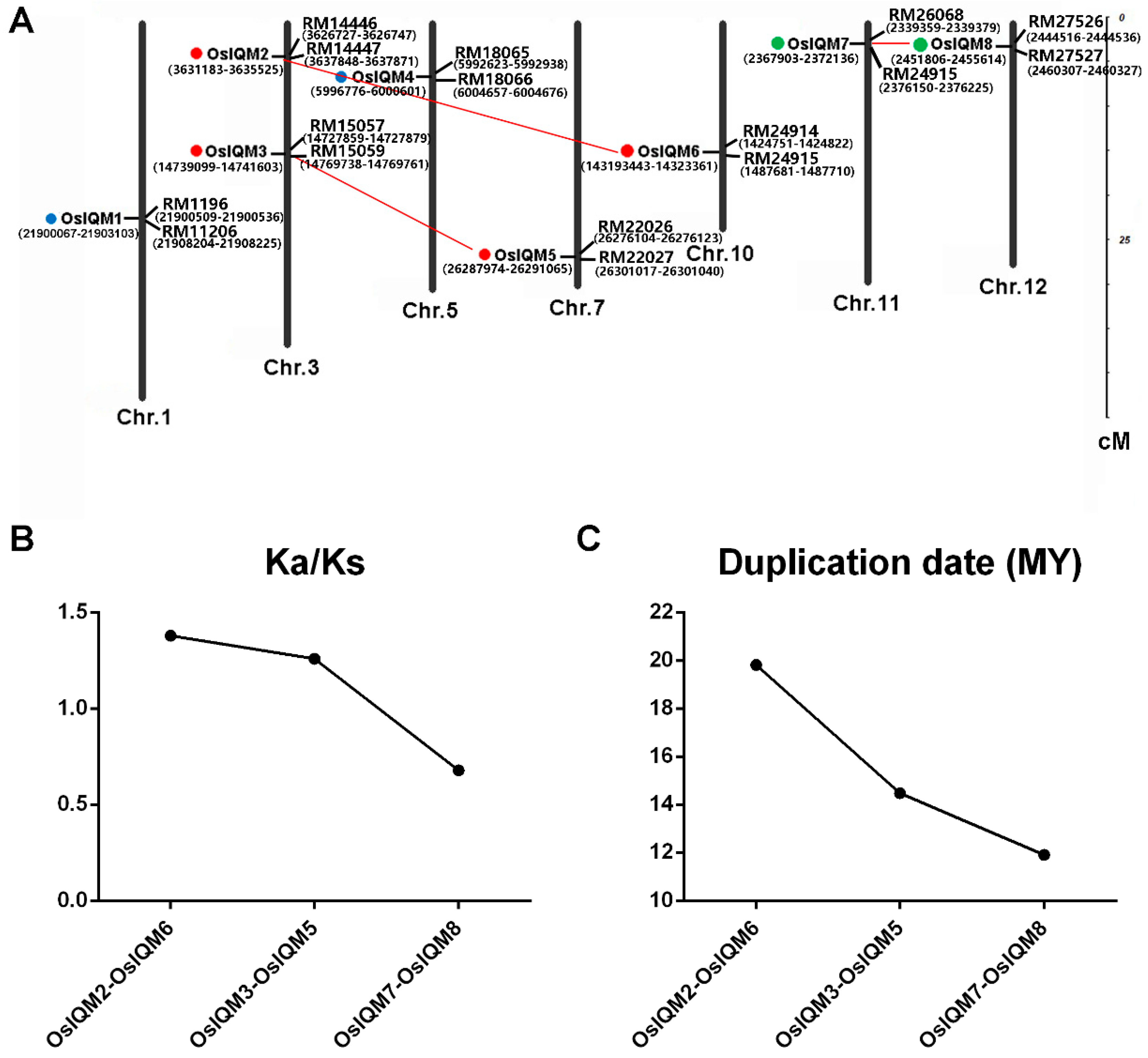 Plants 10 01949 g004