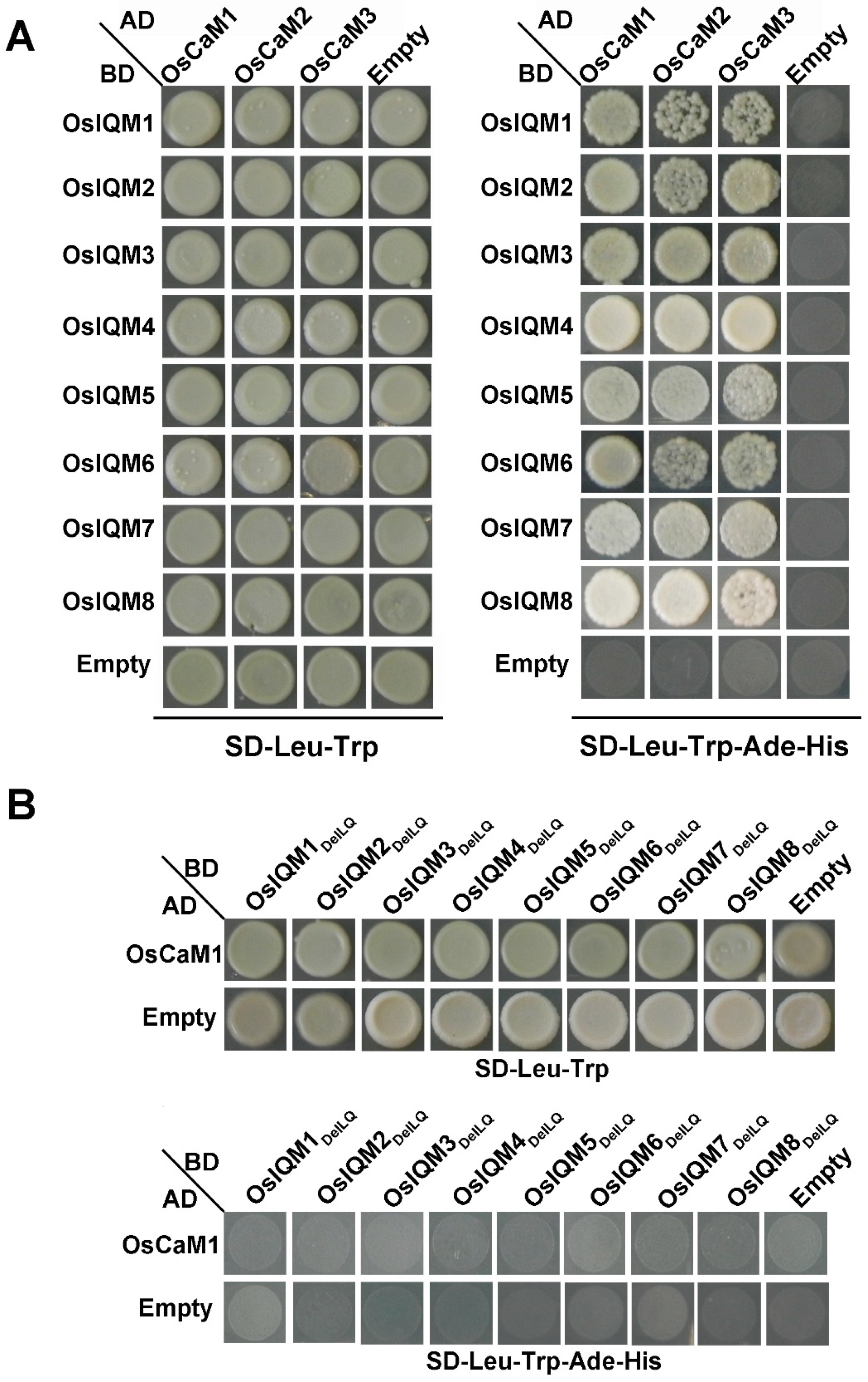 Plants 10 01949 g006