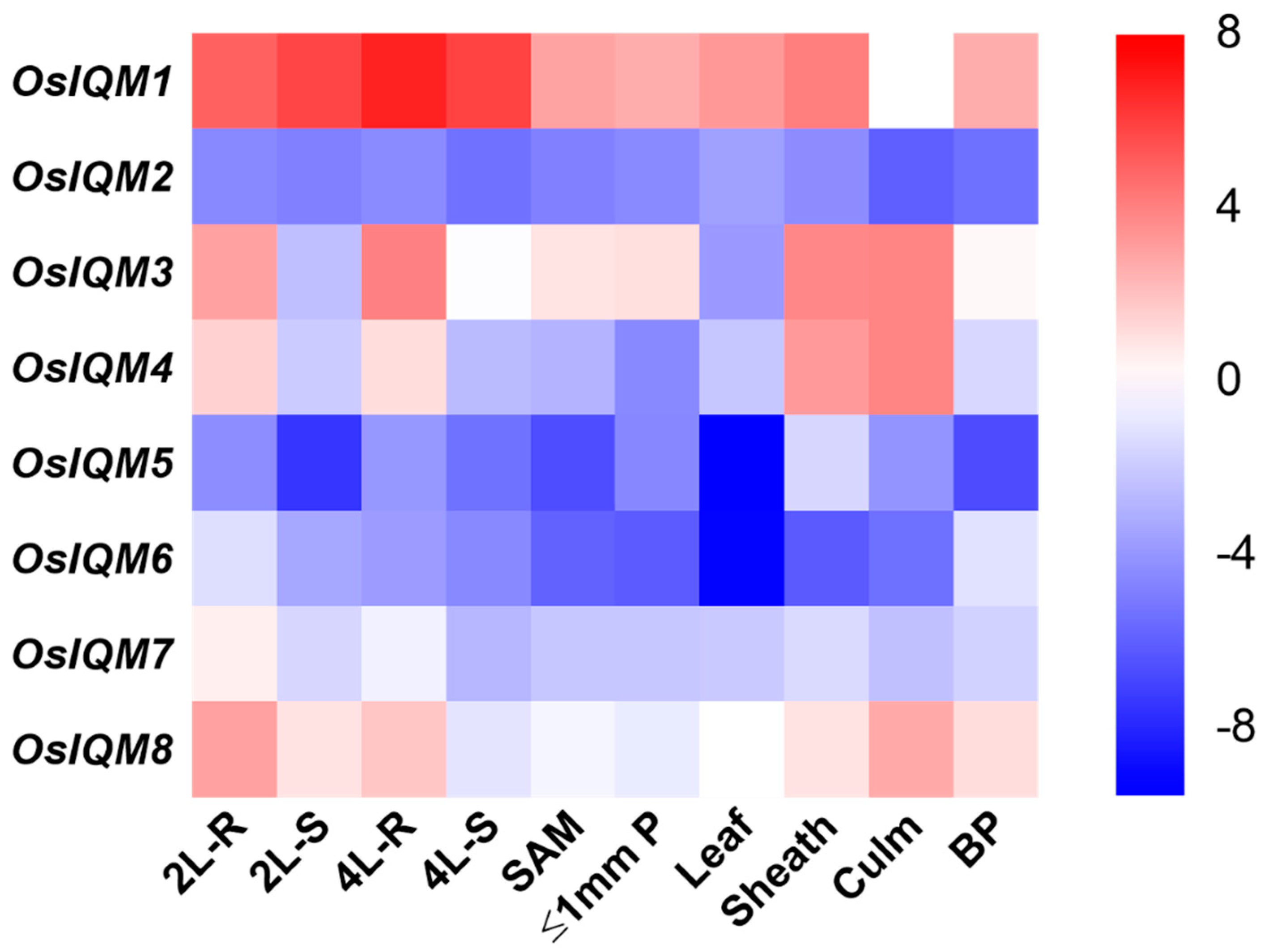Plants 10 01949 g007