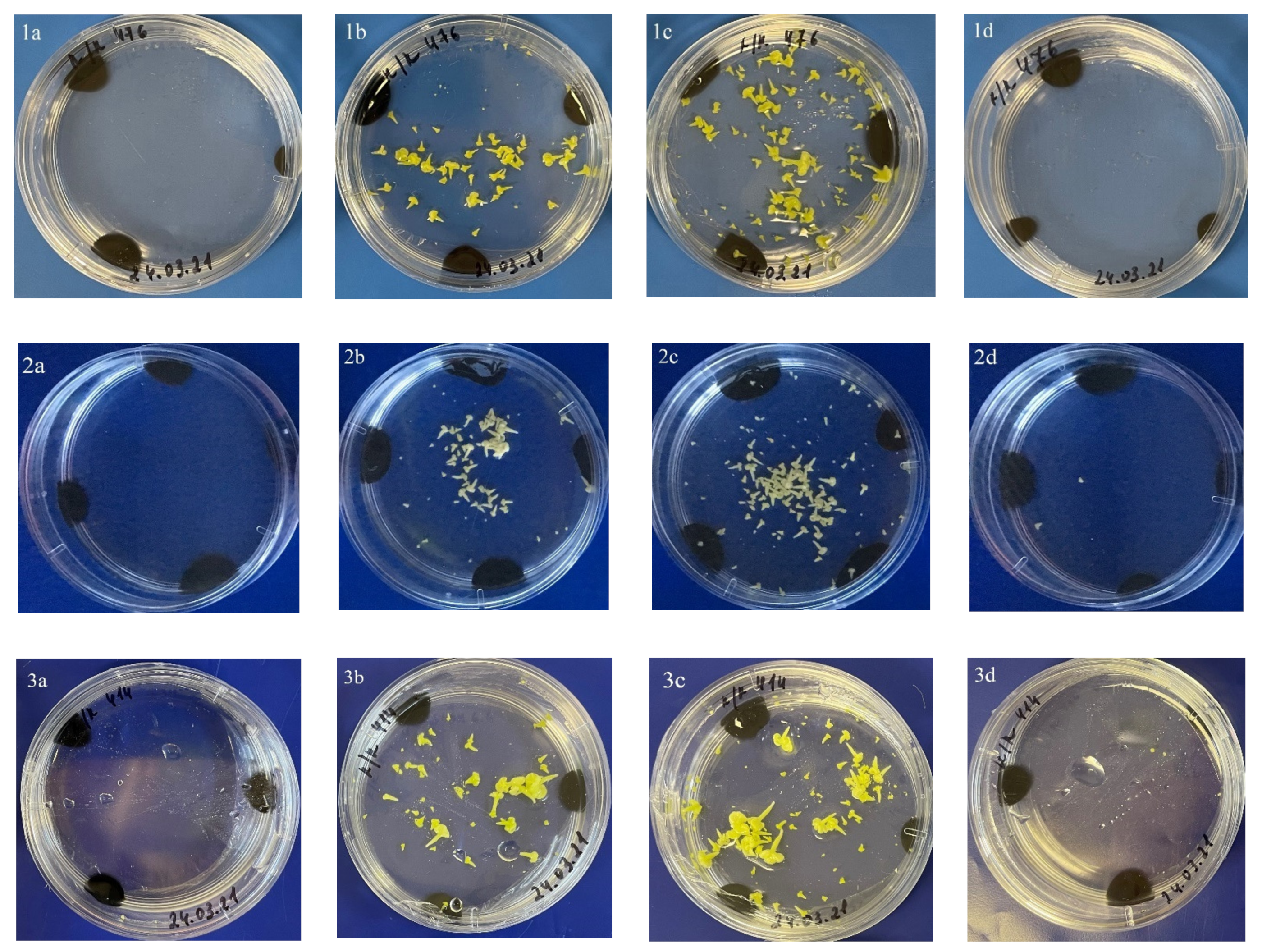 Plants 10 01950 g005