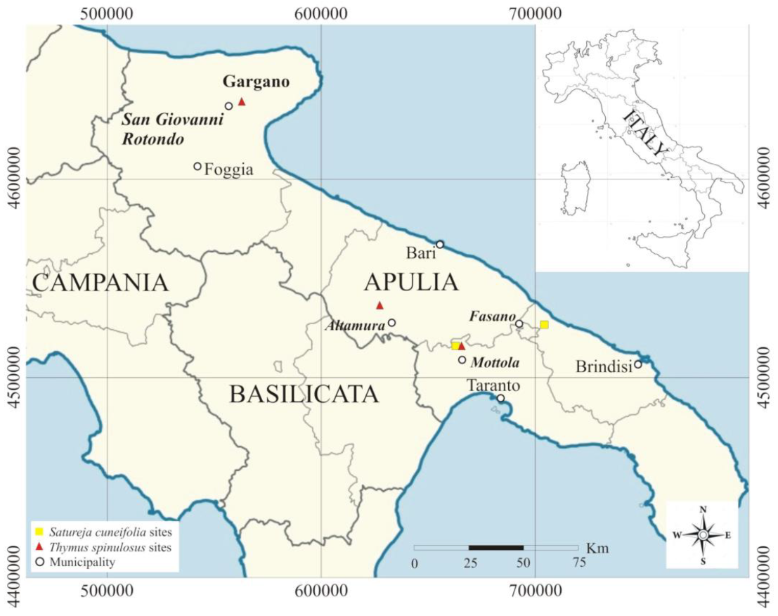 Plants 10 01952 g001 550