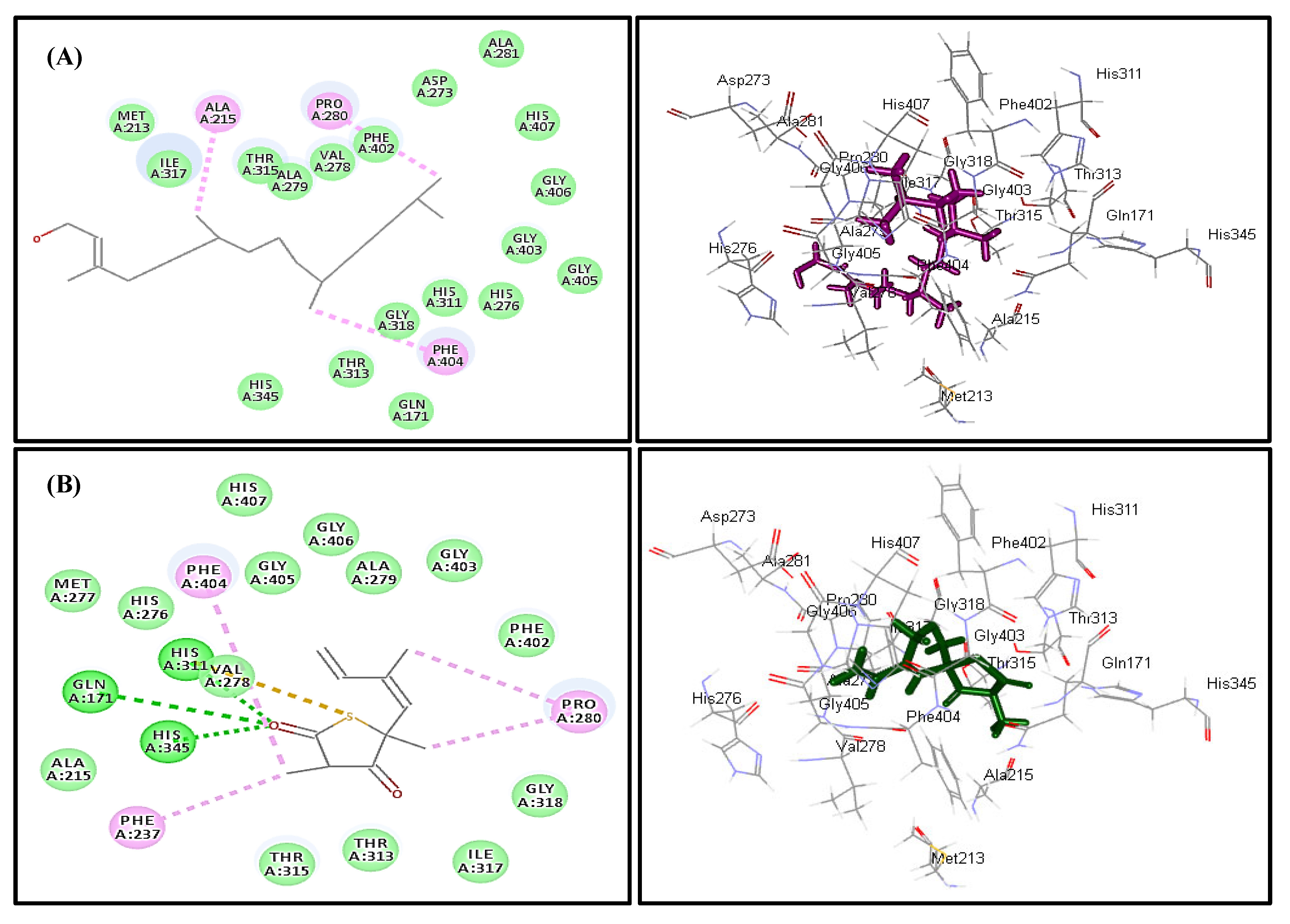 Plants 10 01953 g008 550