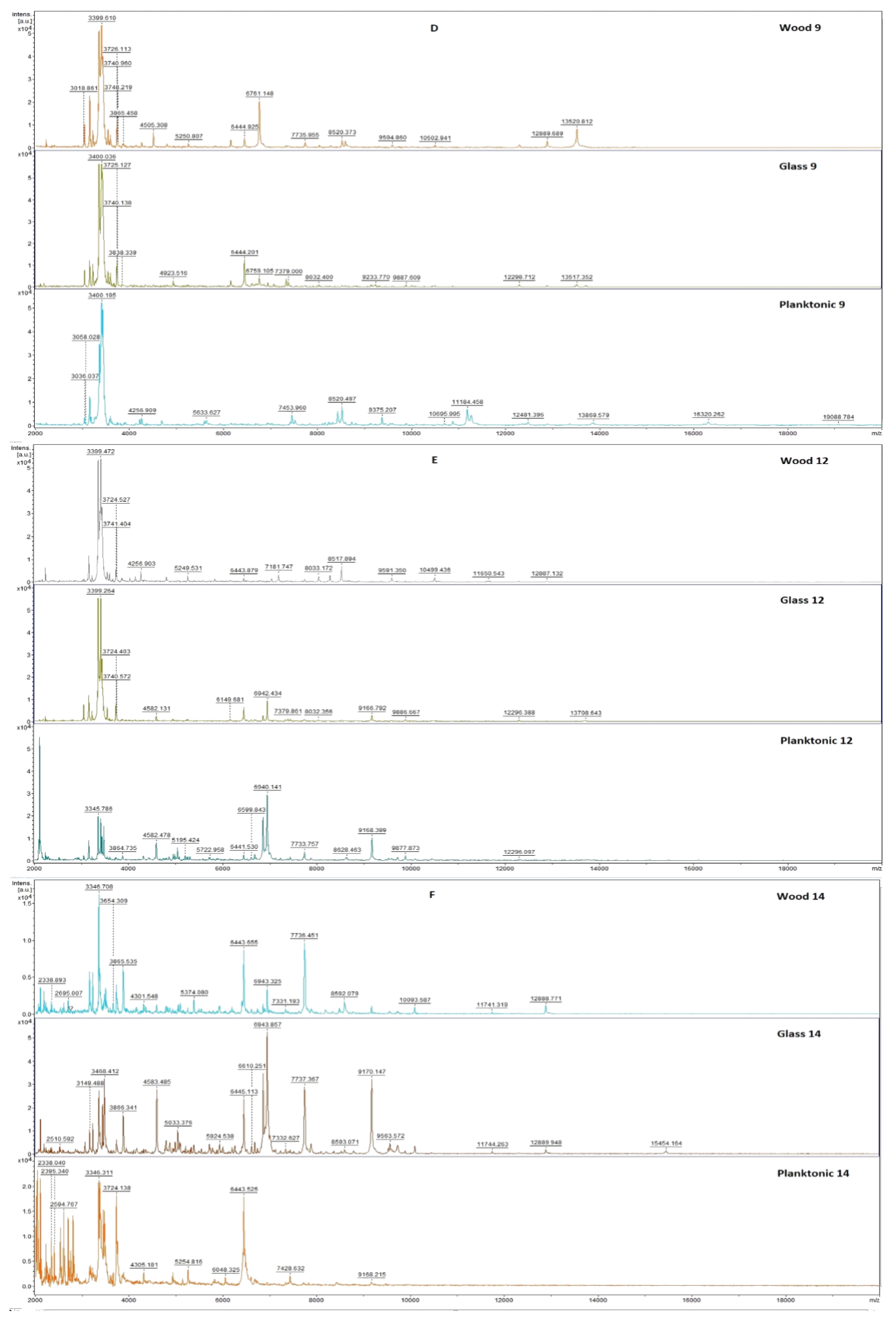 Plants 10 01959 g001b