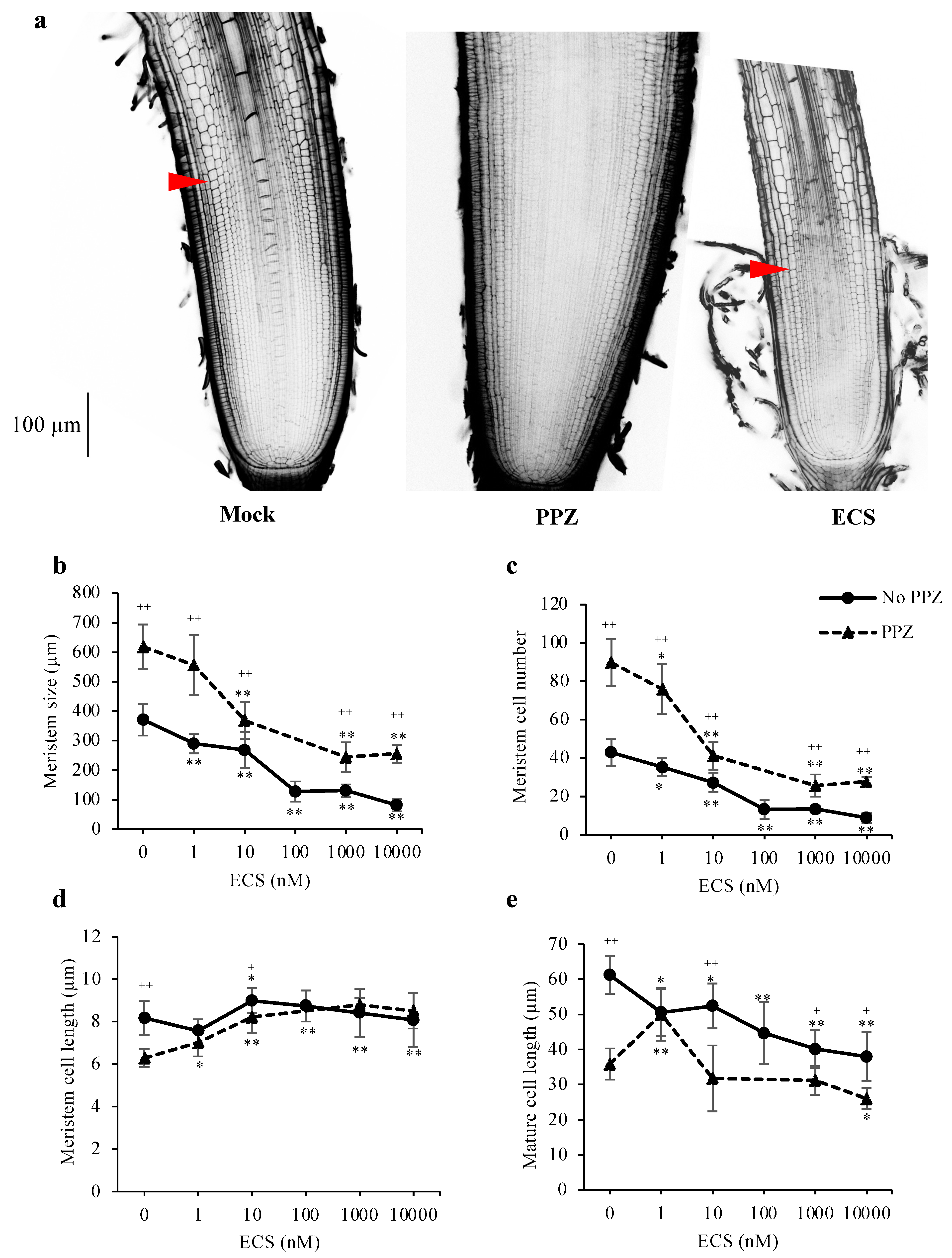 Plants 10 01962 g002
