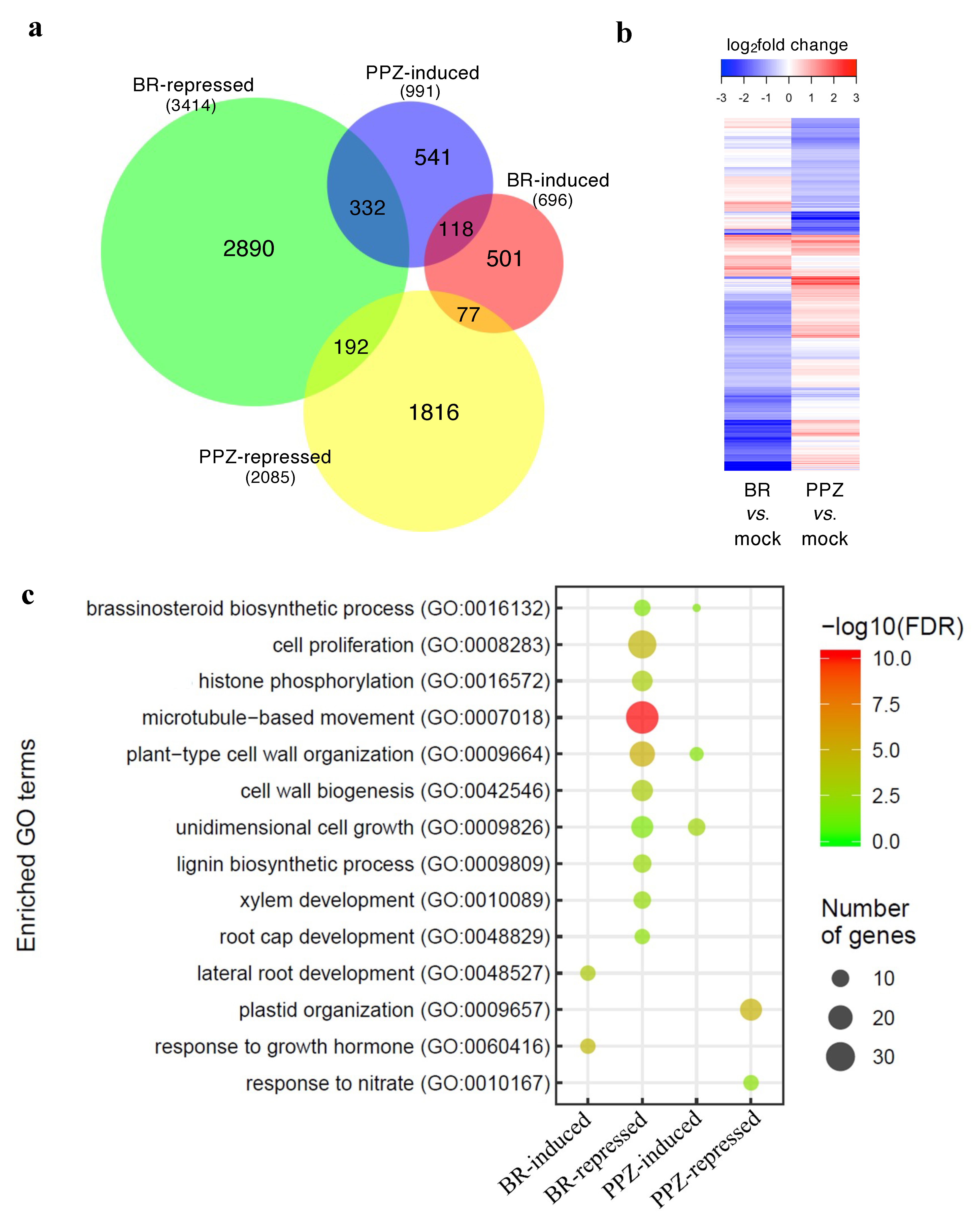 Plants 10 01962 g003