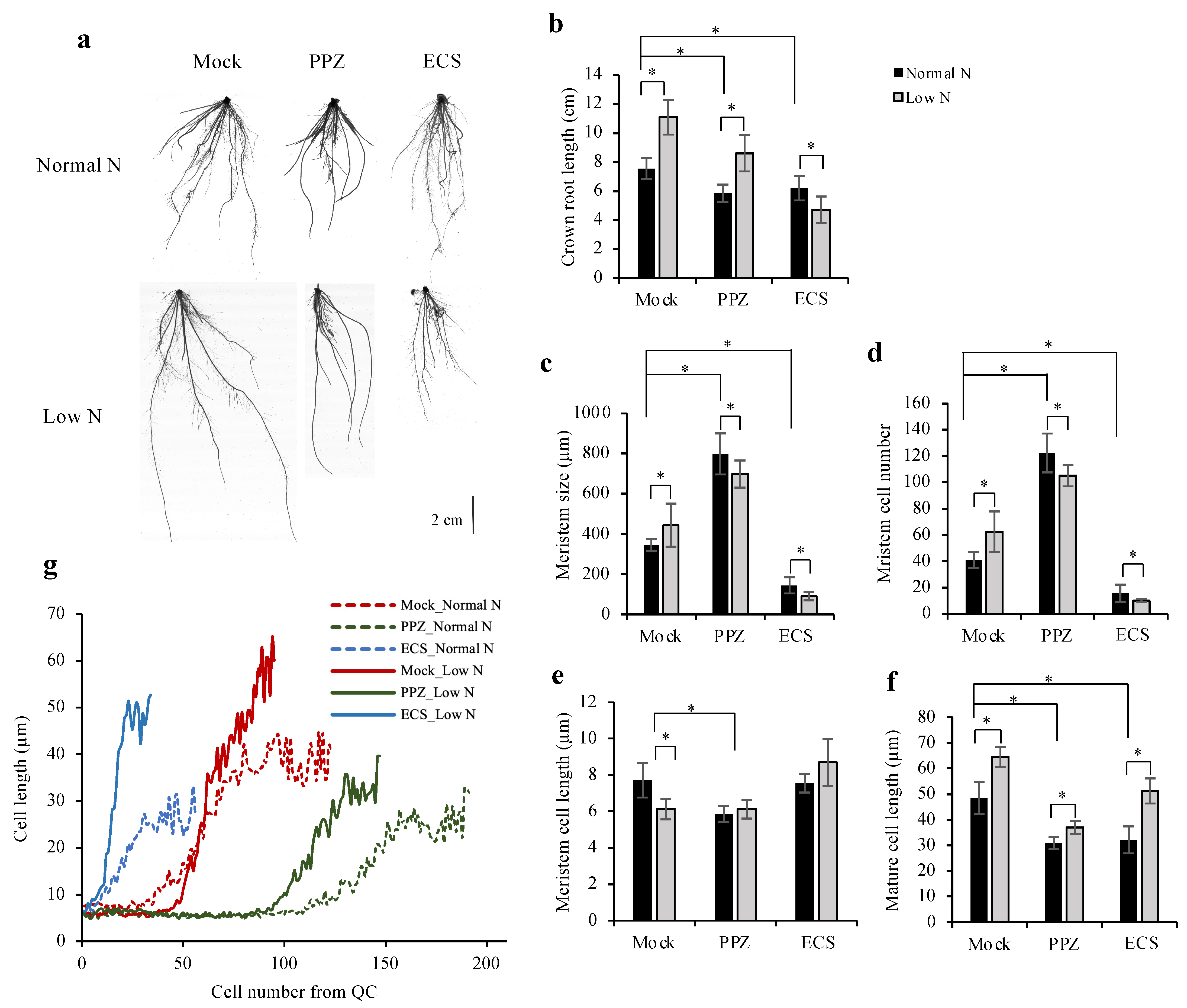 Plants 10 01962 g005