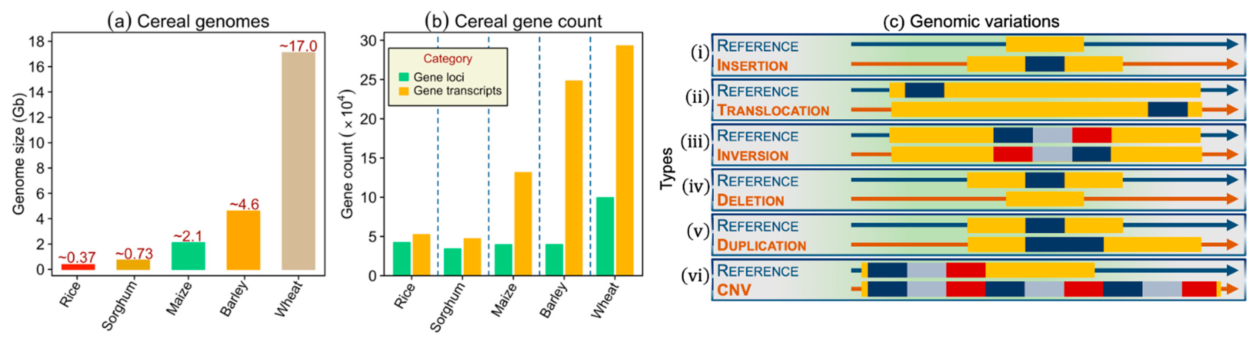 plant and animal genome conference 2021 wallpaperforlivingroomchennai