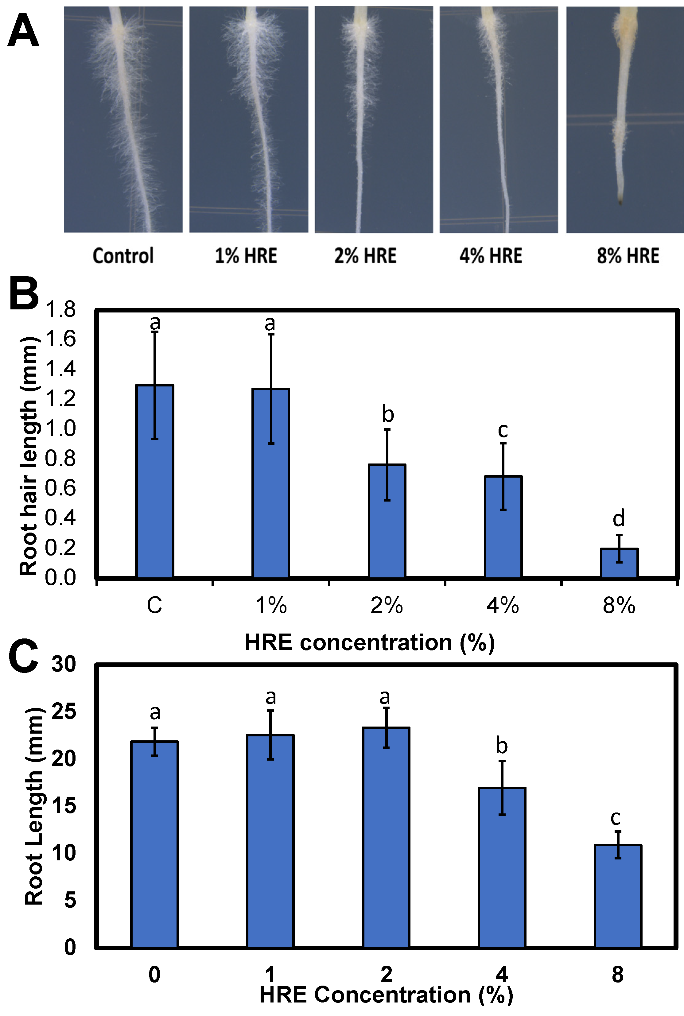 Plants 10 01992 g005 Plants 10 01992 g005