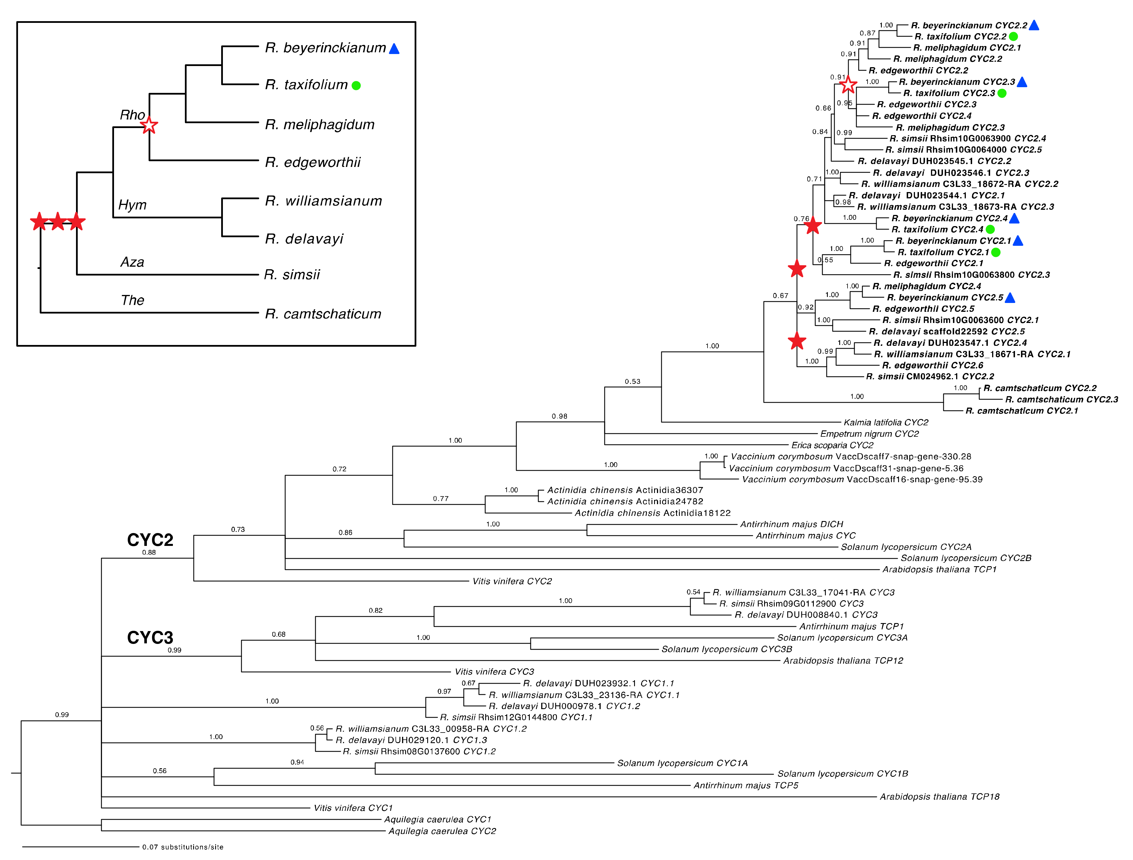 Plants 10 01994 g002