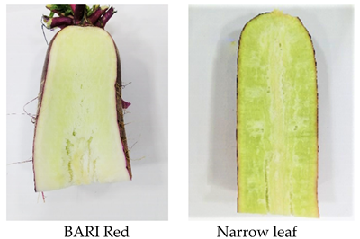 Plants 10 02003 i002 Plants 10 02003 i002