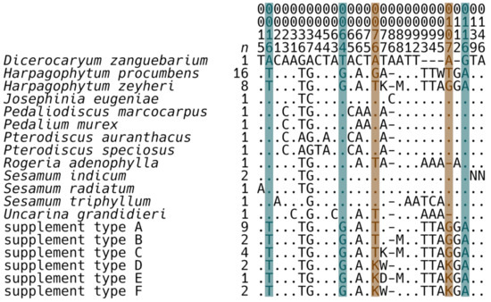 Plants Free Full Text Dna Barcode Authentication Of Devil S Claw Herbal Dietary Supplements Html