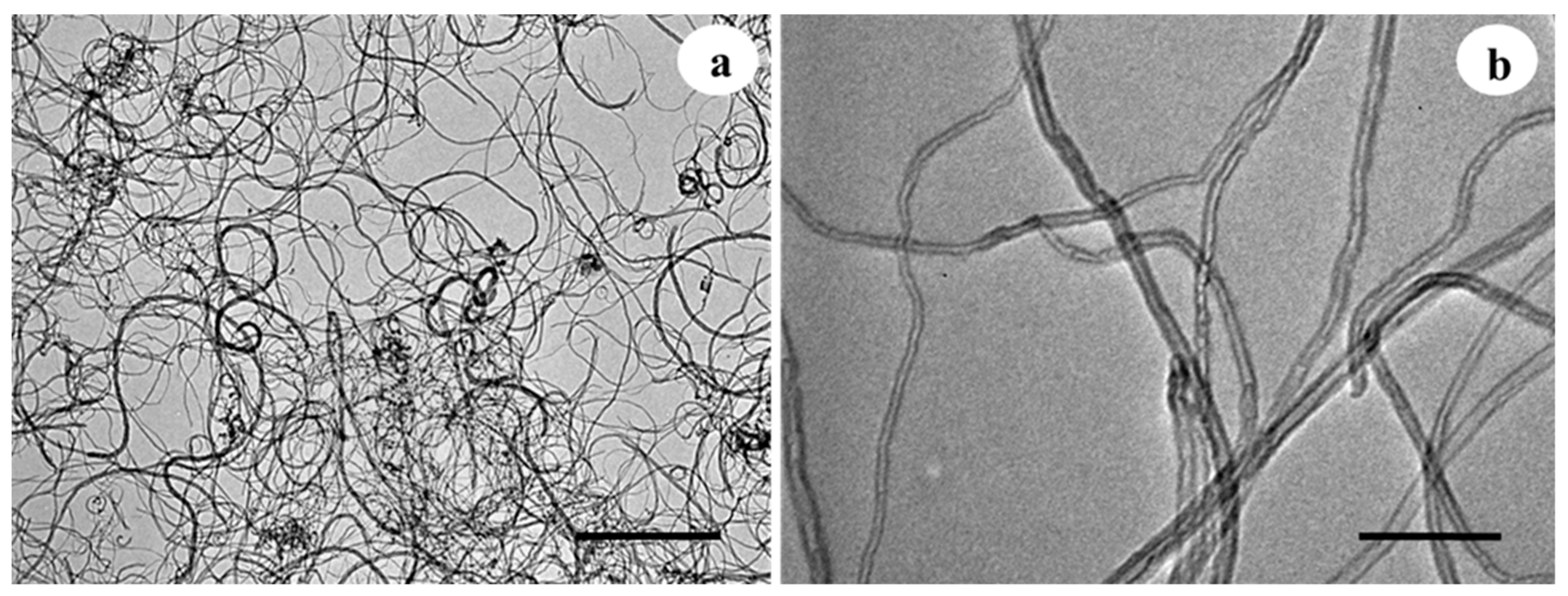 Plants 10 02015 g001