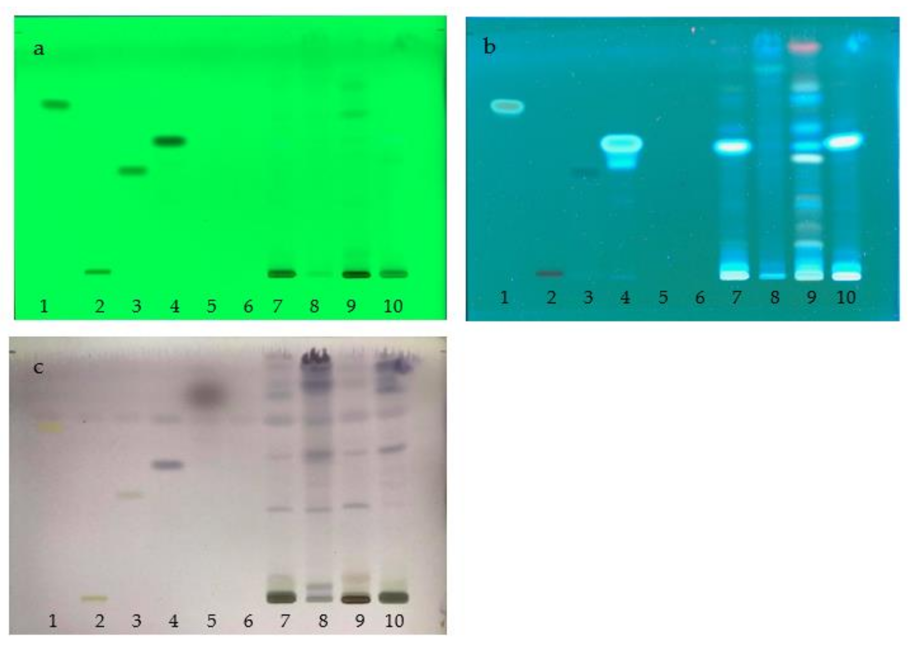 Plants Free FullText Specification and DNA Barcoding of Thai