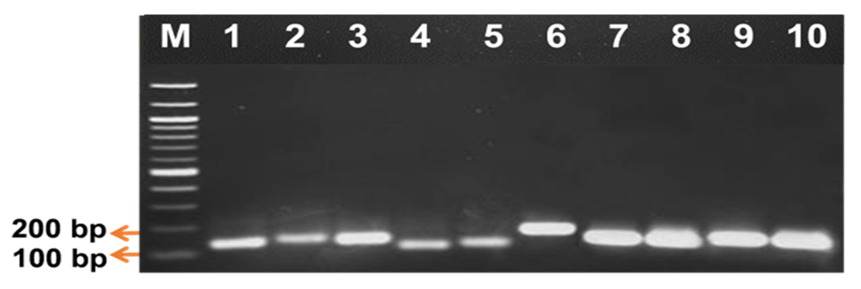 Plants 10 02026 g003