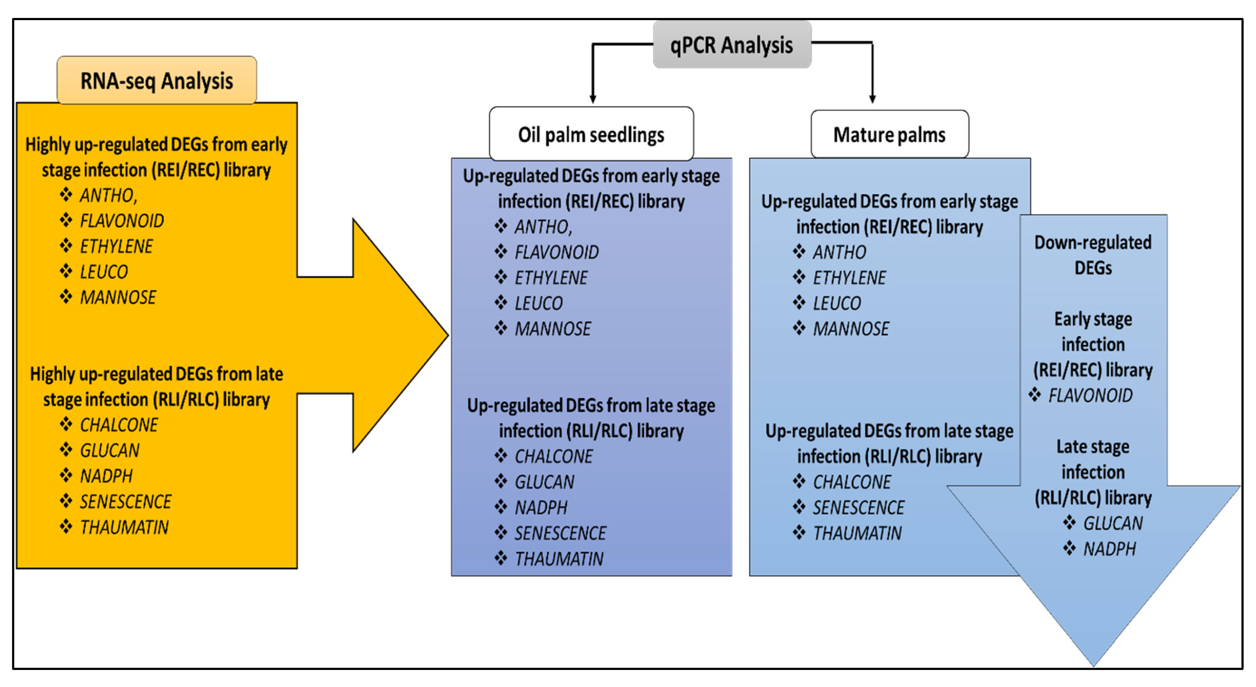 Plants 10 02026 g005