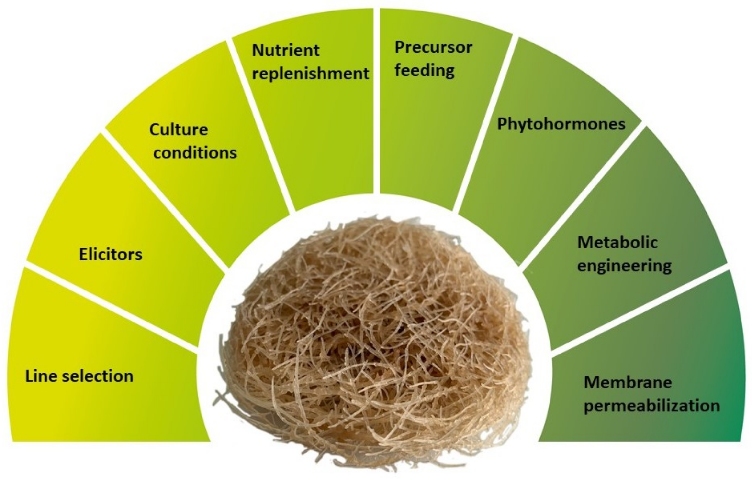 Plants 10 02028 g001