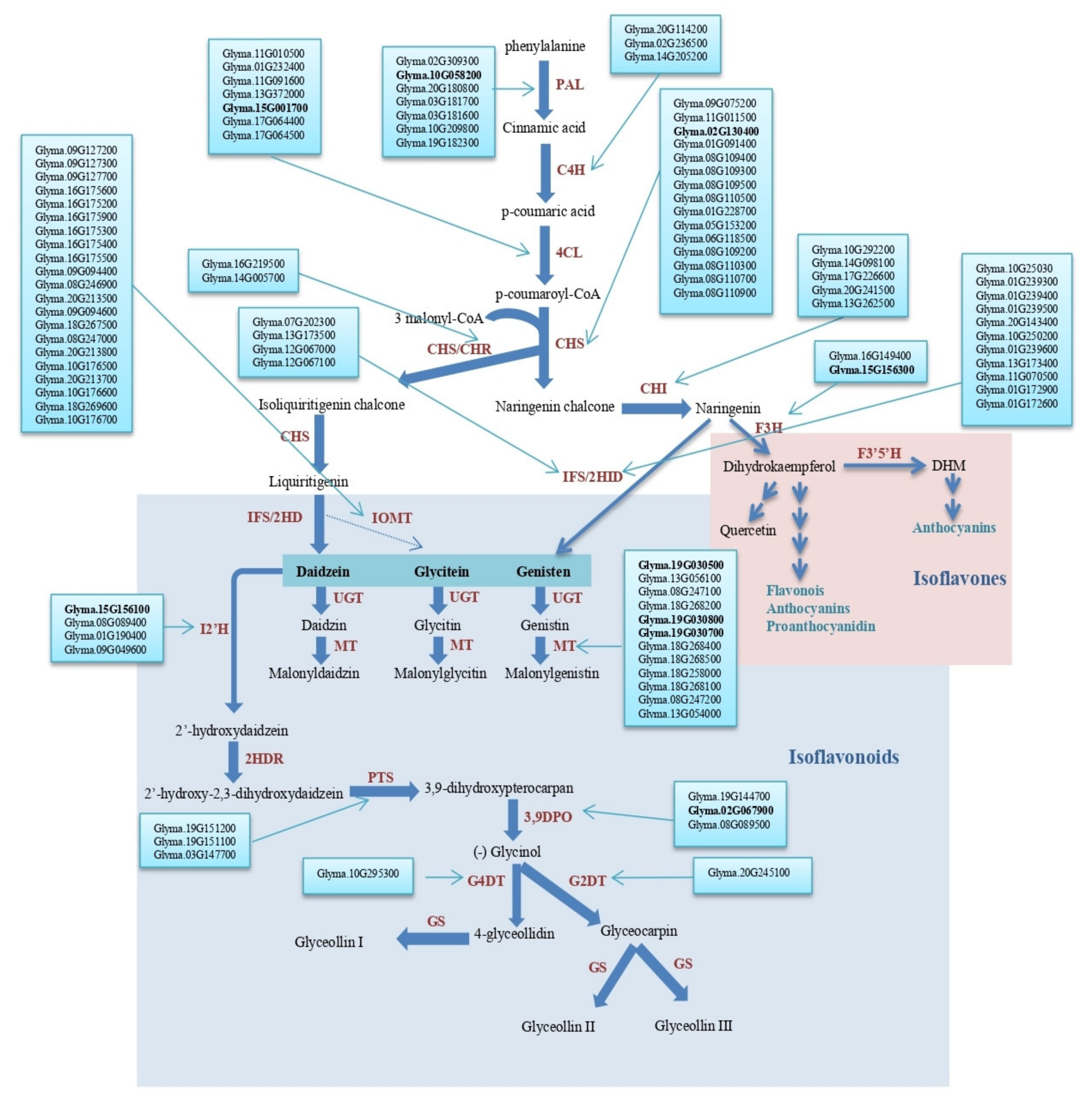 Plants 10 02029 g004