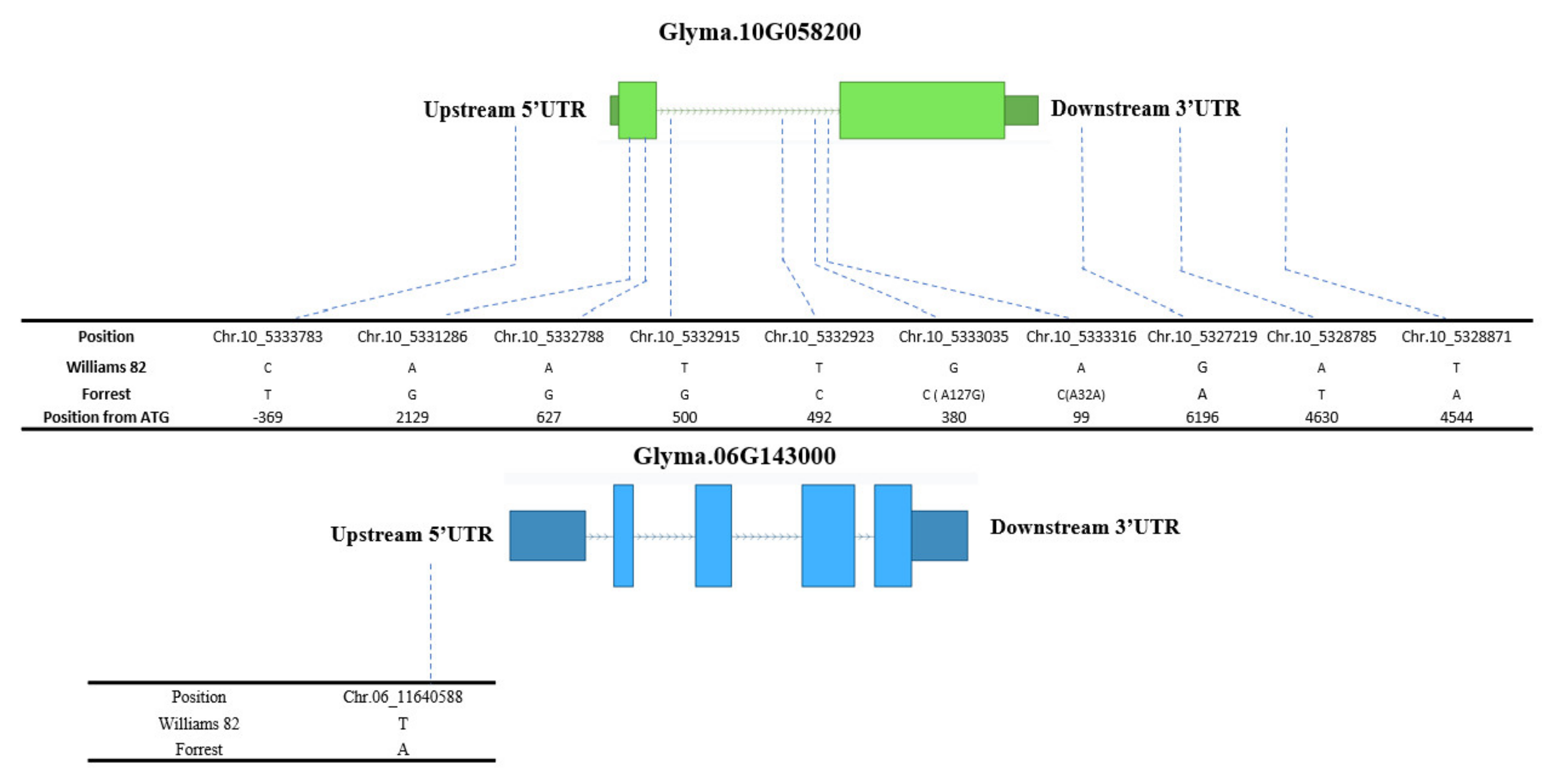 Plants 10 02029 g006