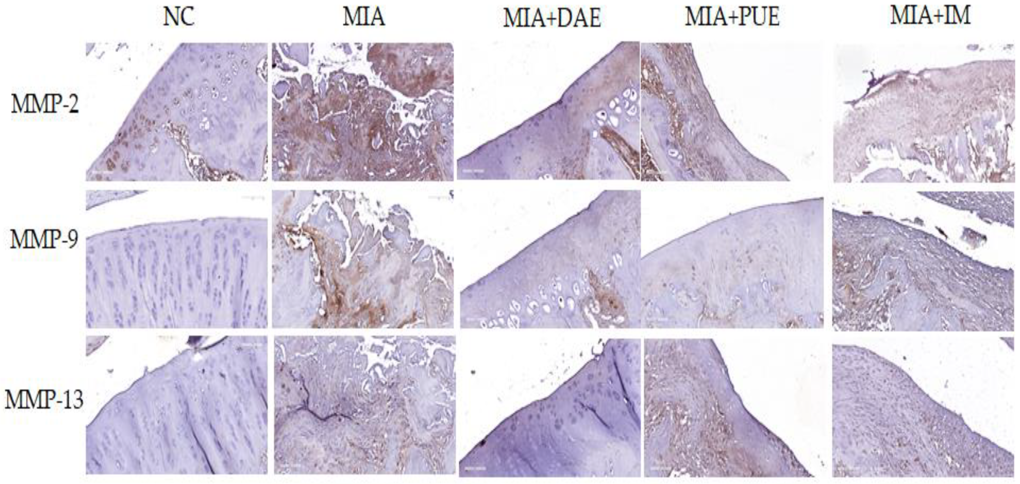 Plants 10 02030 g005 550