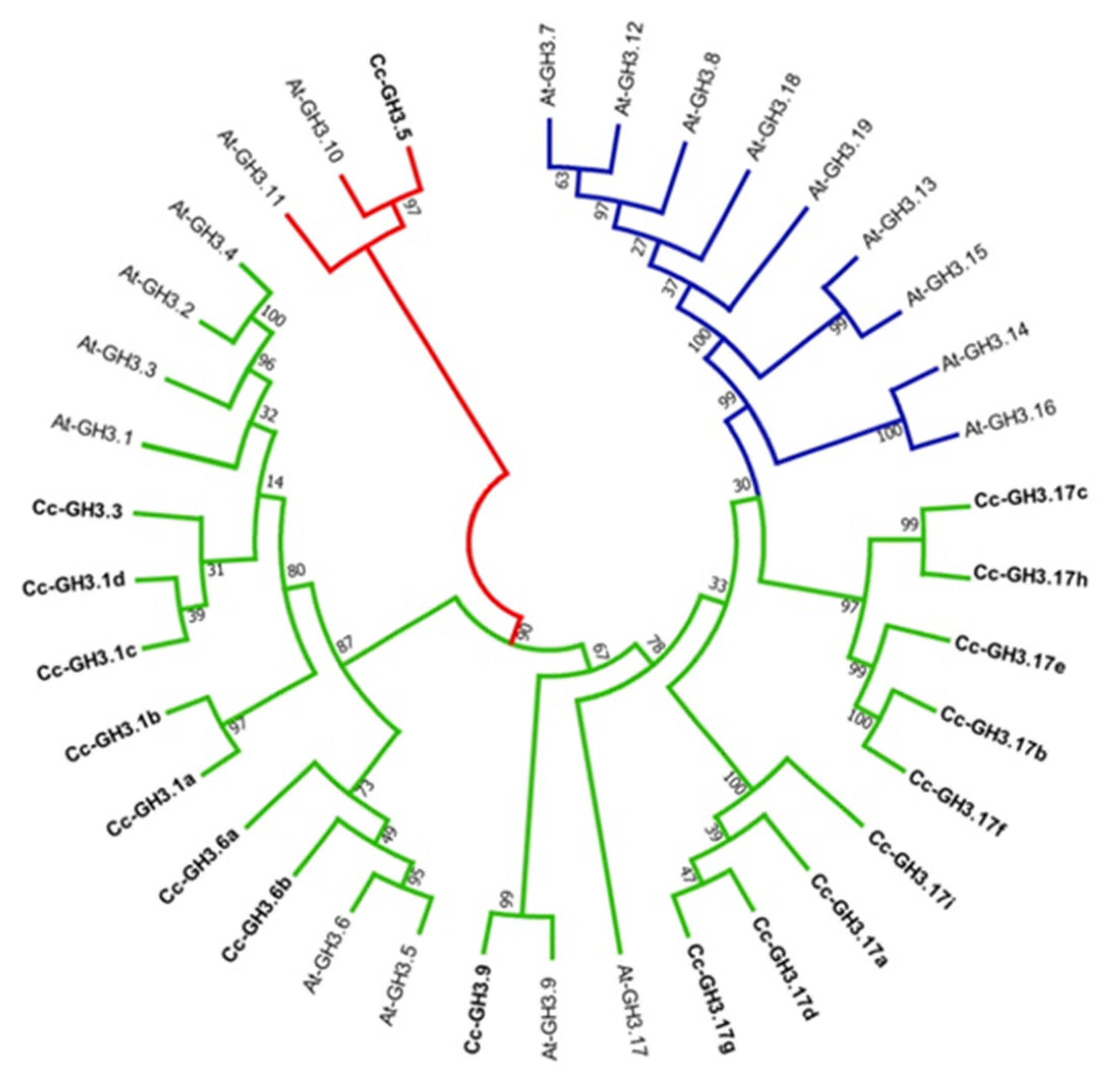 Plants 10 02034 g003