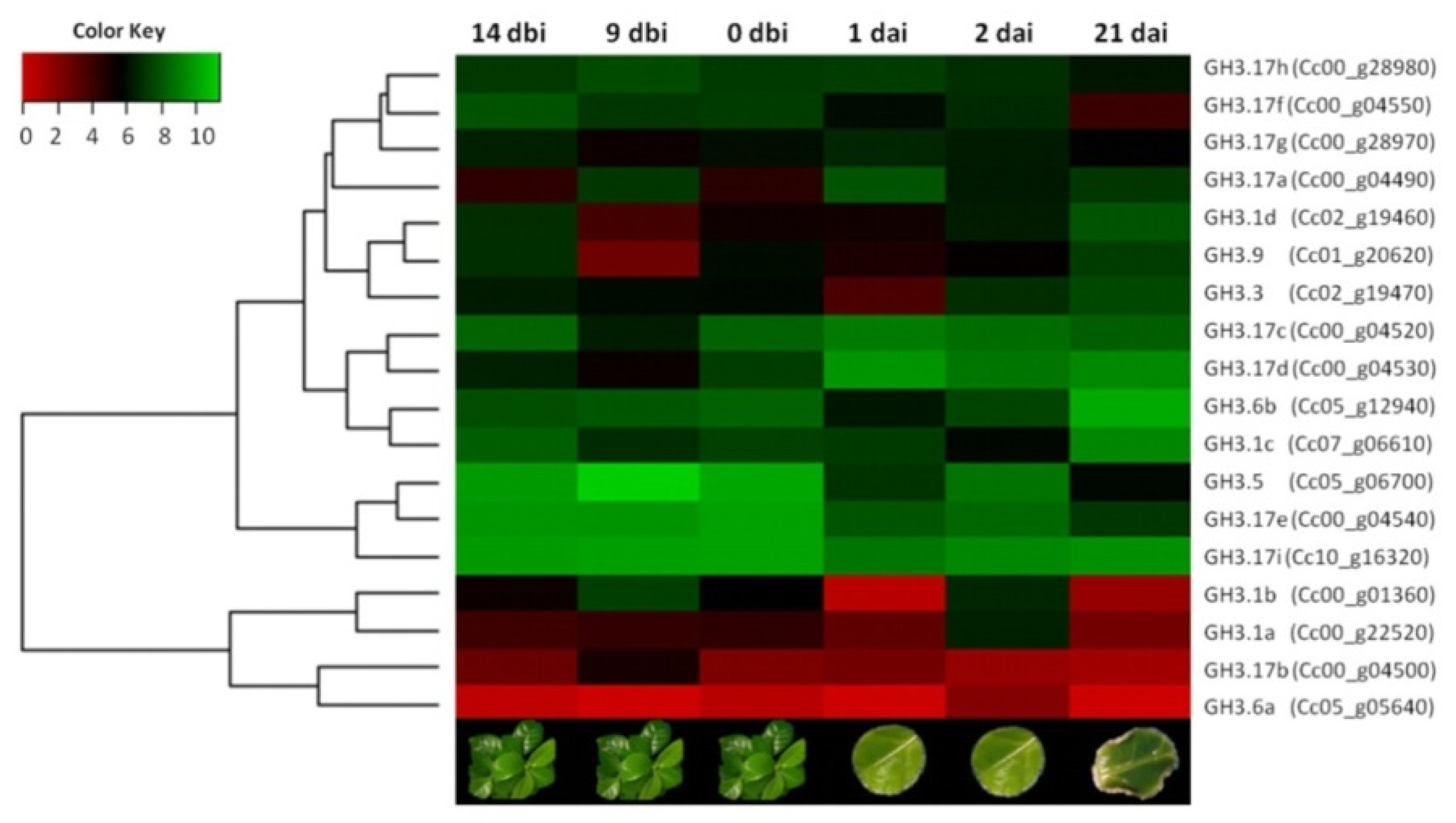 Plants 10 02034 g005
