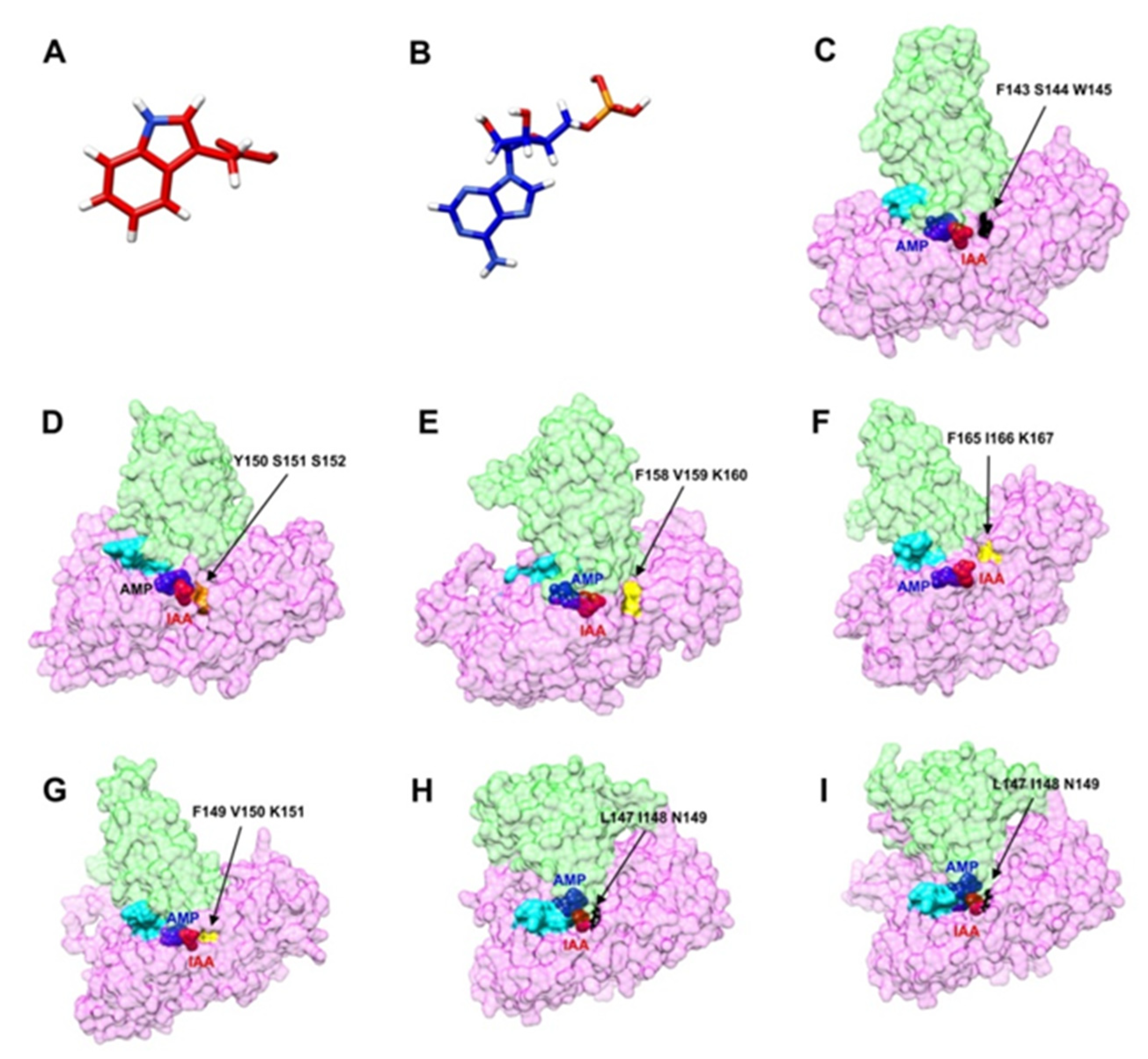 Plants 10 02034 g009