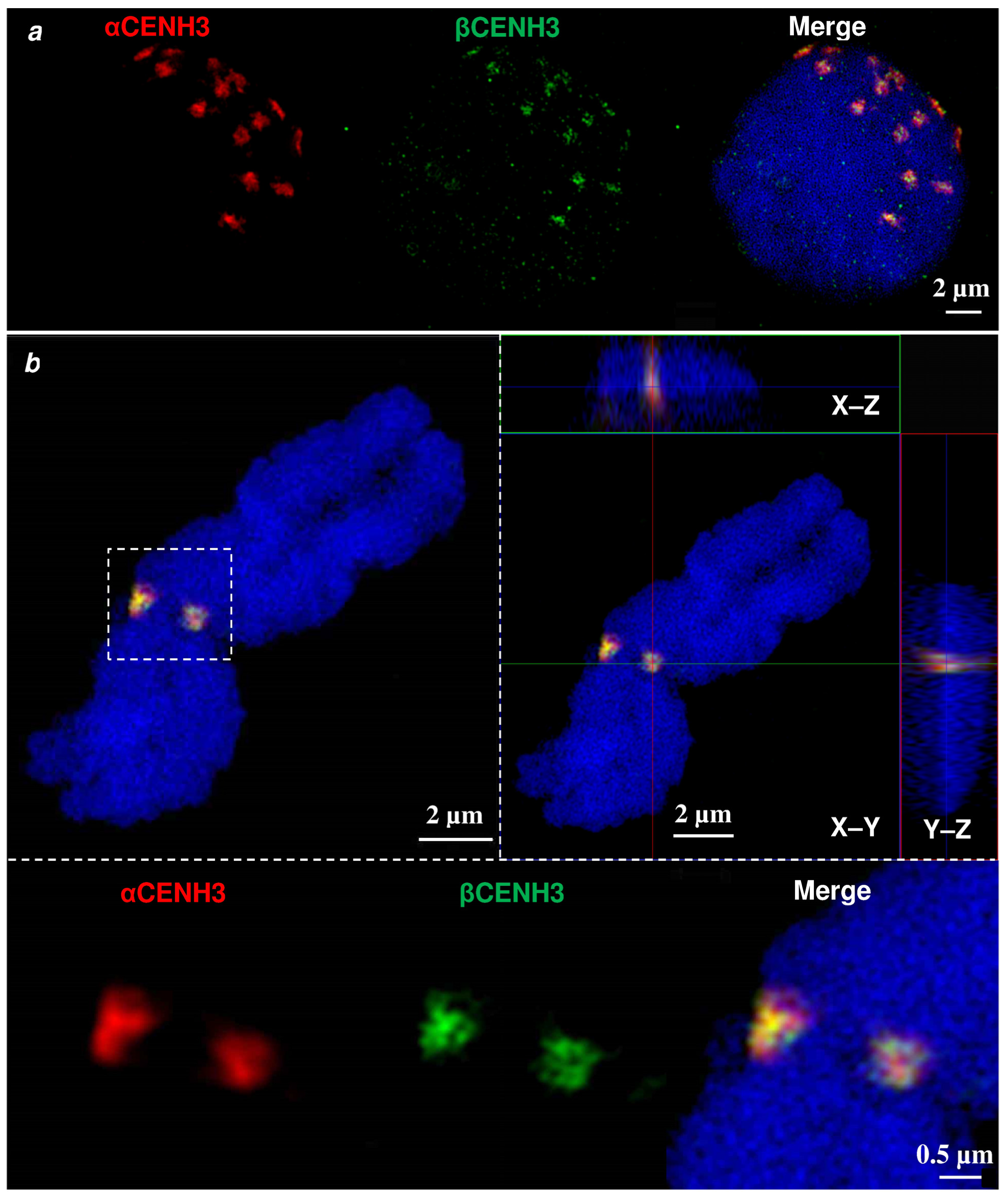 Plants 10 02043 g005 550