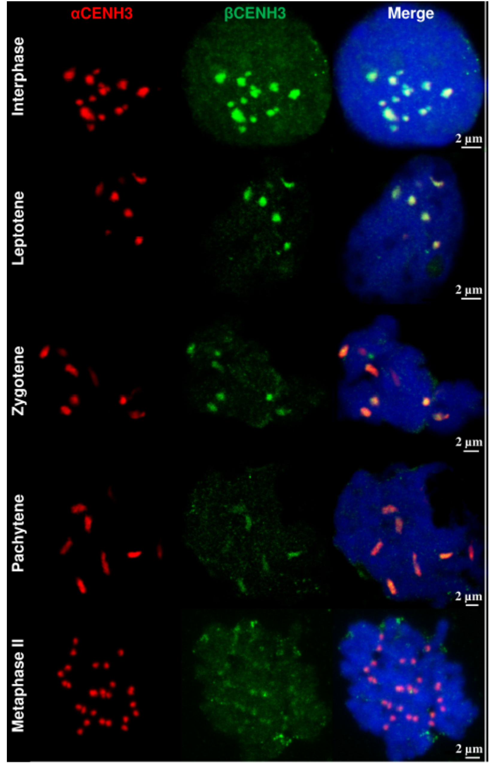 Plants 10 02043 g006 550