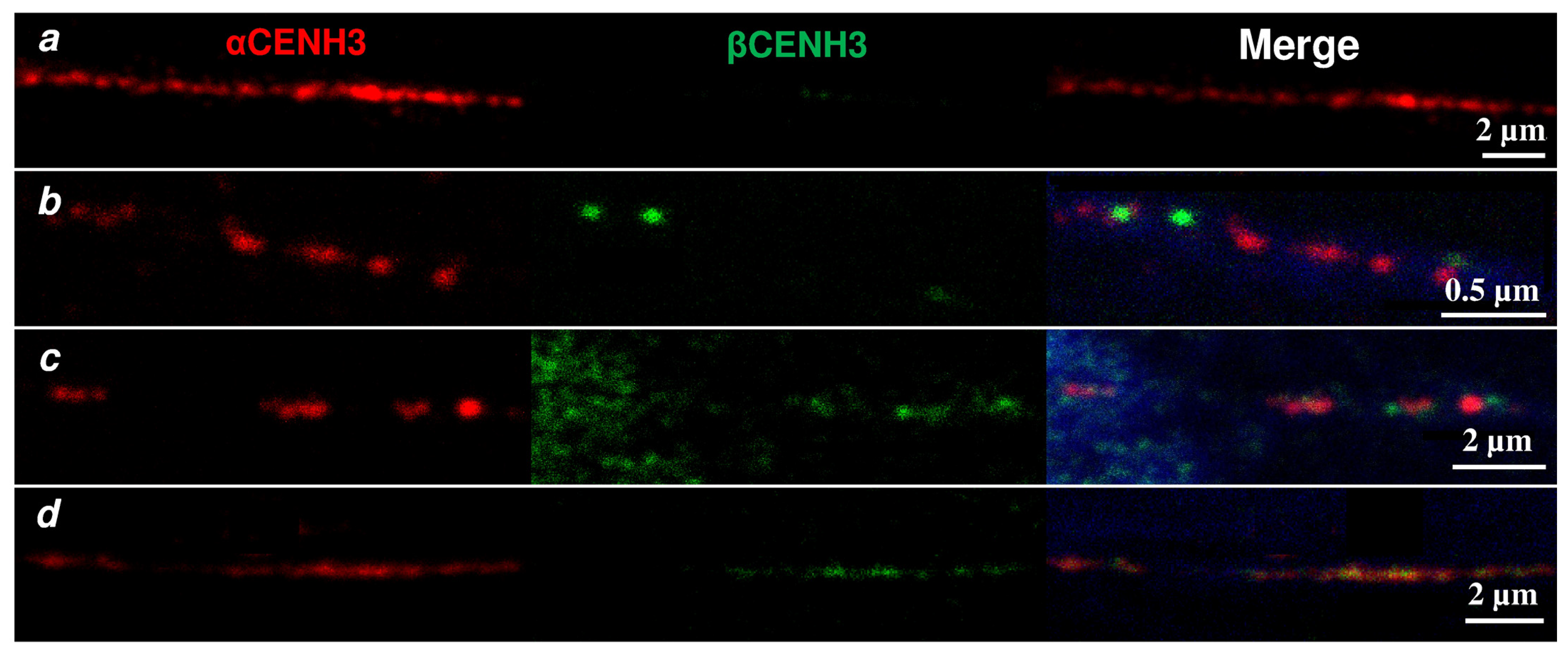 Plants 10 02043 g007 550