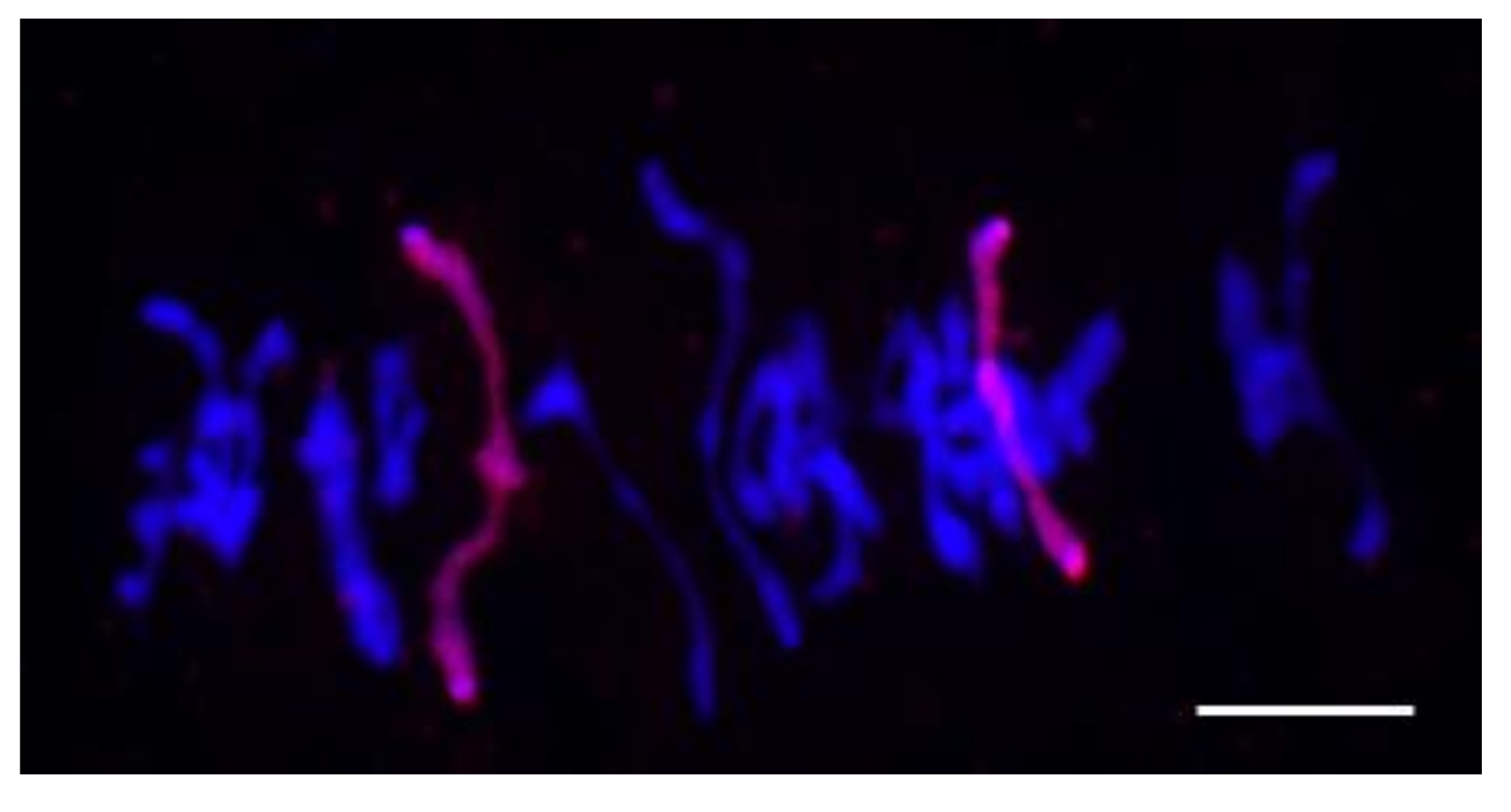 Plants 10 02052 g015